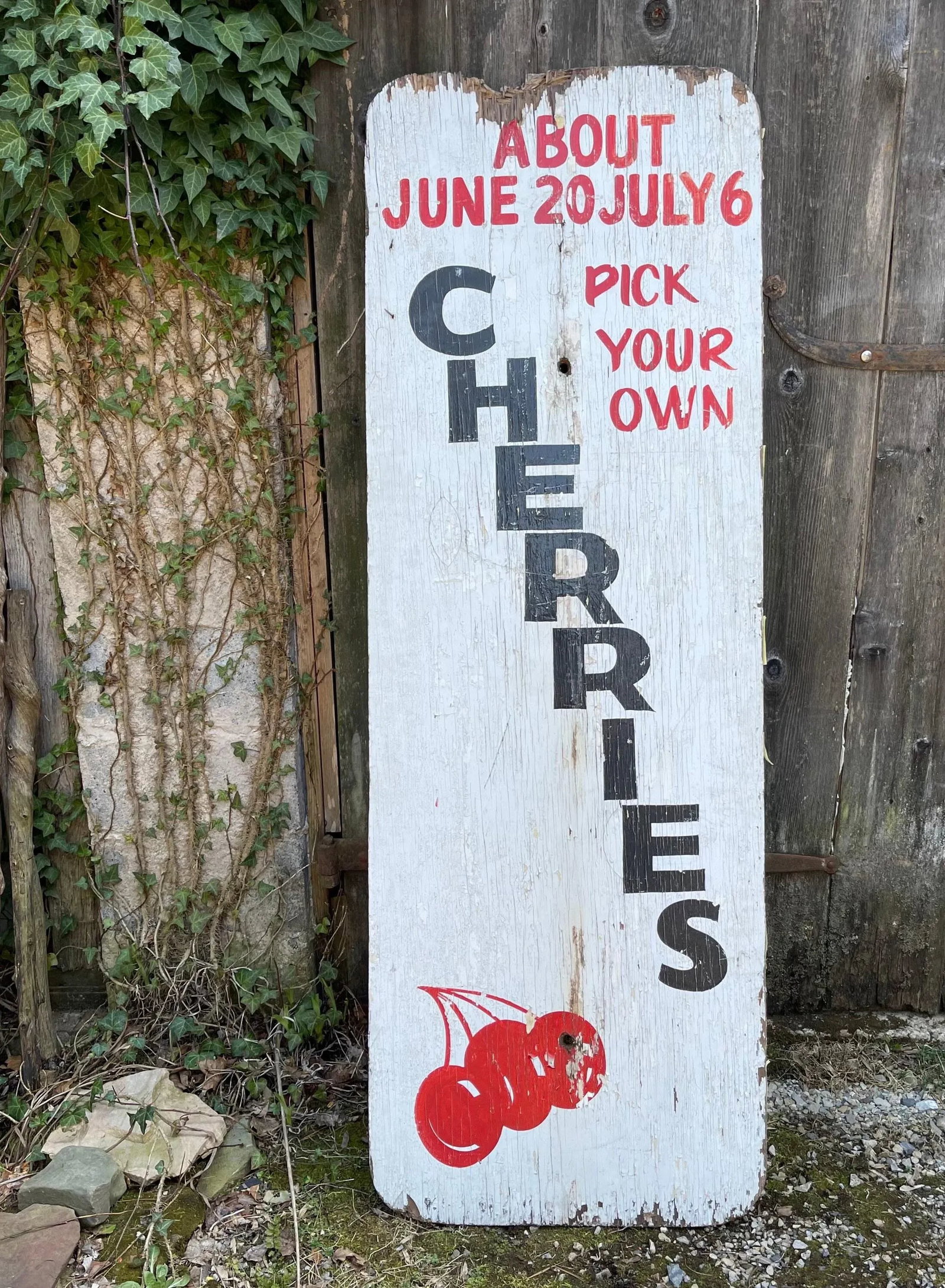 1940s Authentic Rustic 2-Sided Farm Stand Sign Apples Cherries with Patina - 2