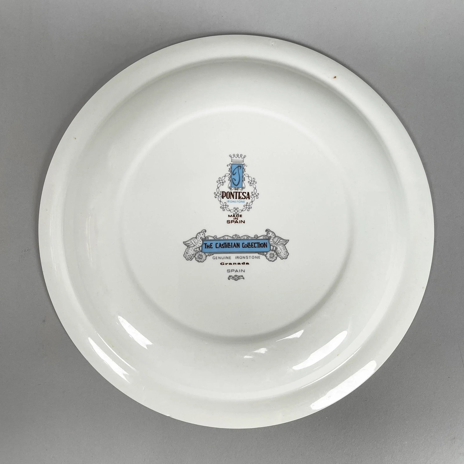 Vintage Pontesa Castillian Collection Ironstone Dinner Plates - Set of 11 - 7