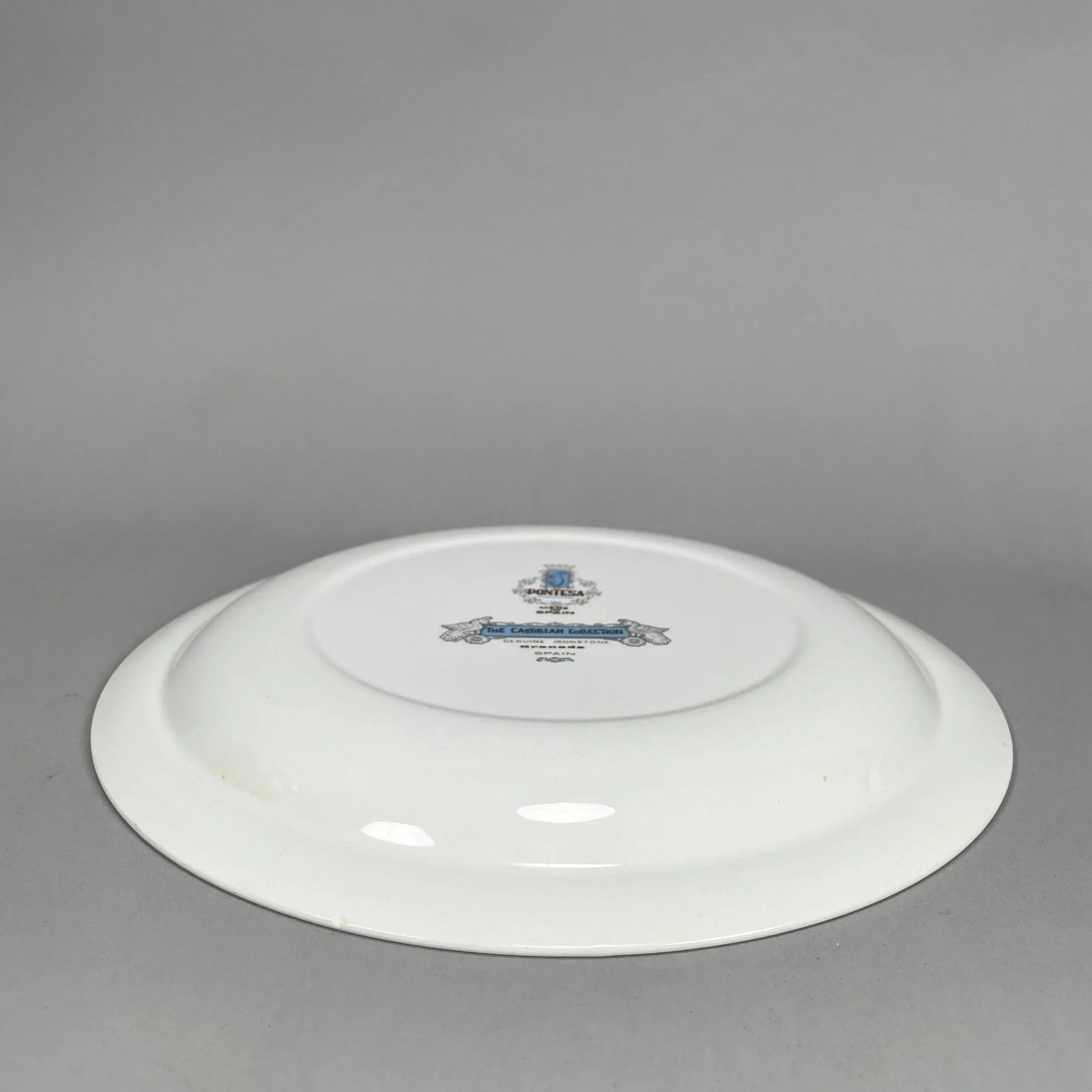 Vintage Pontesa Castillian Collection Ironstone Dinner Plates - Set of 11 - 9