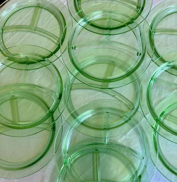 Vintage Green Depression Glass Divided Dinner Plates- Set of 11 - 9