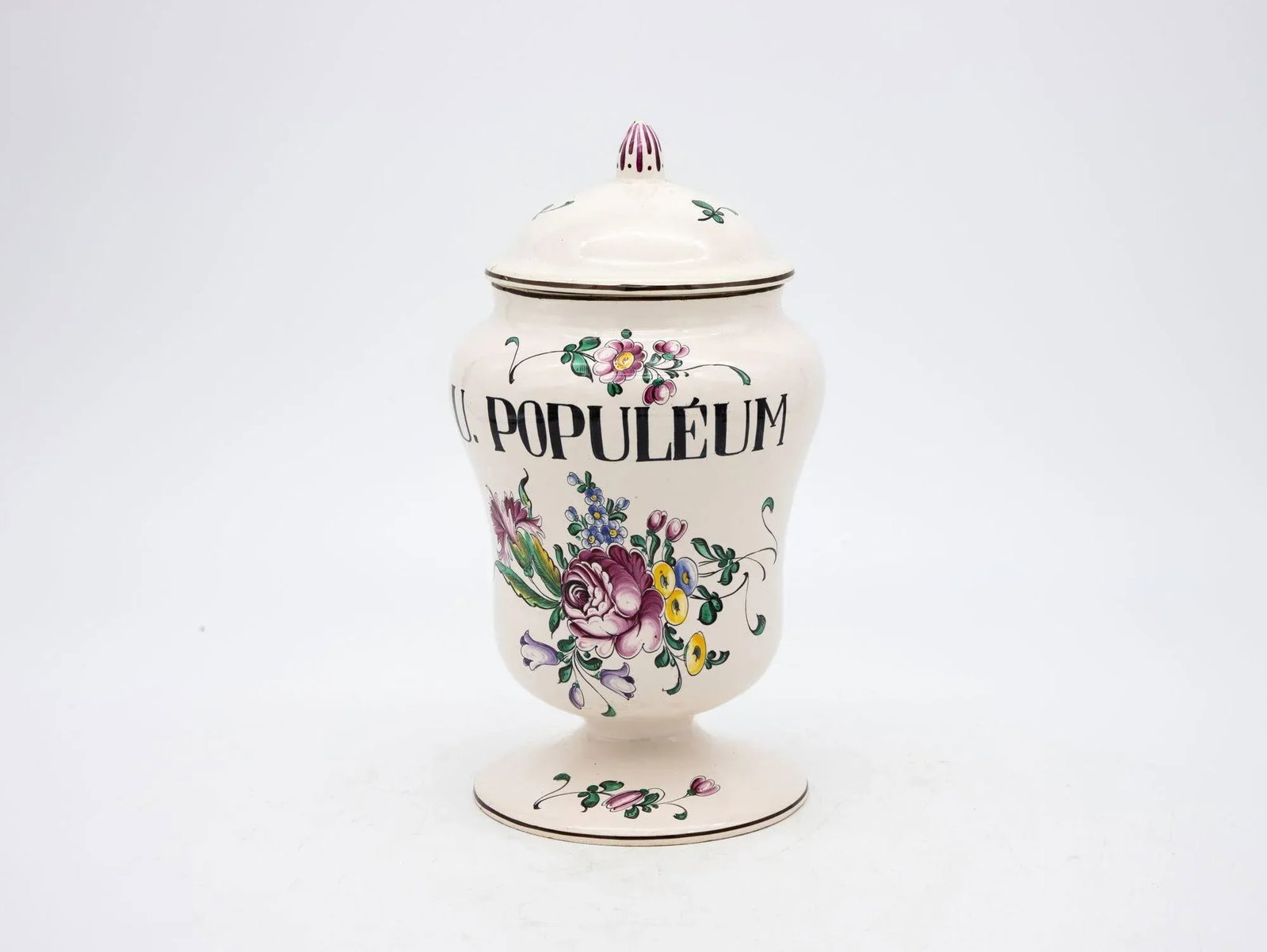 Set of Seven Early 20th Century French Provence Apothecary Jars - 9