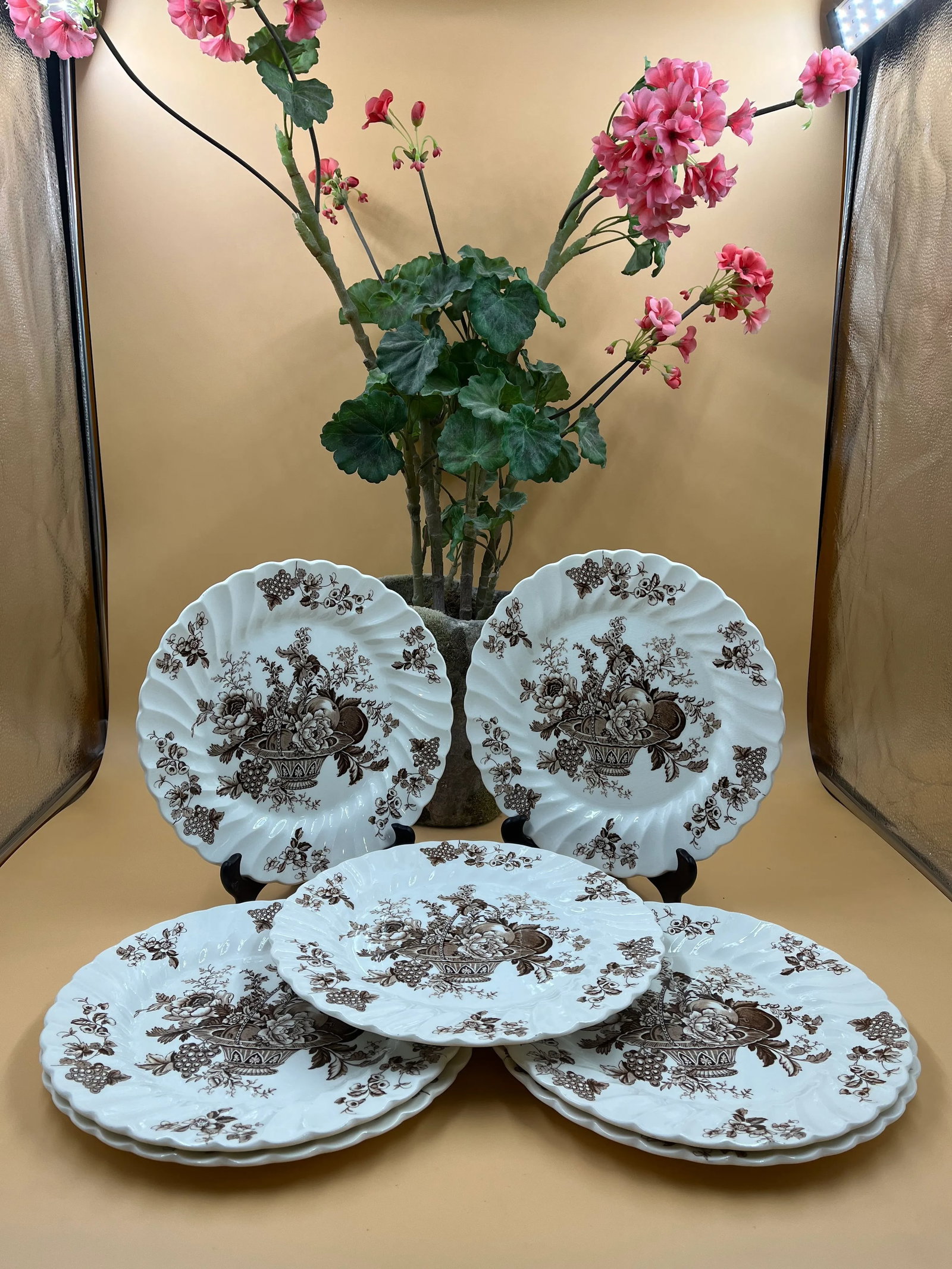 Early 20th Century English Staffordshire Dinner Plates- Set of 7 - 6