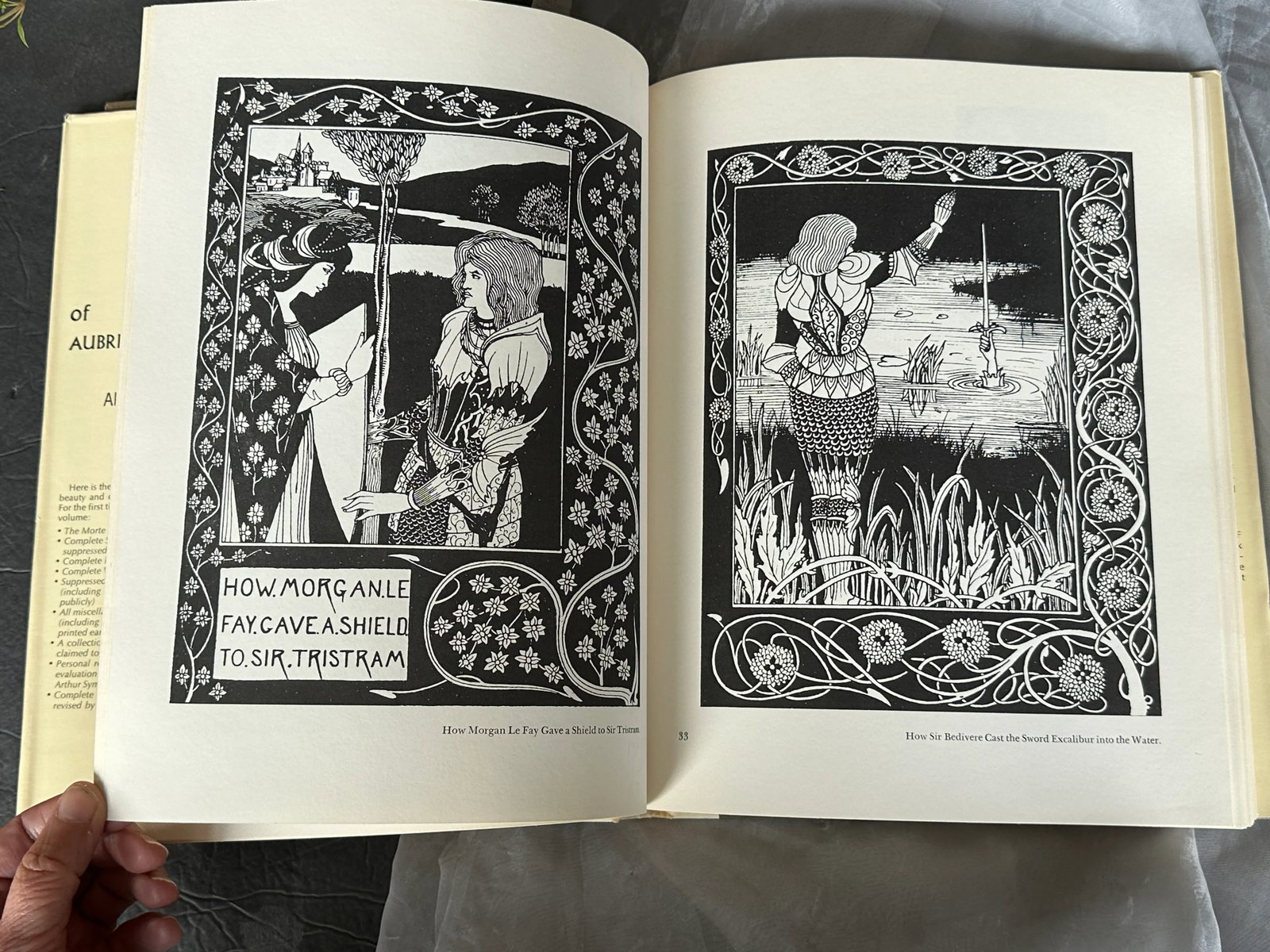 Vintage Collected Drawings of Aubrey Beardsley Art Print Book - 11