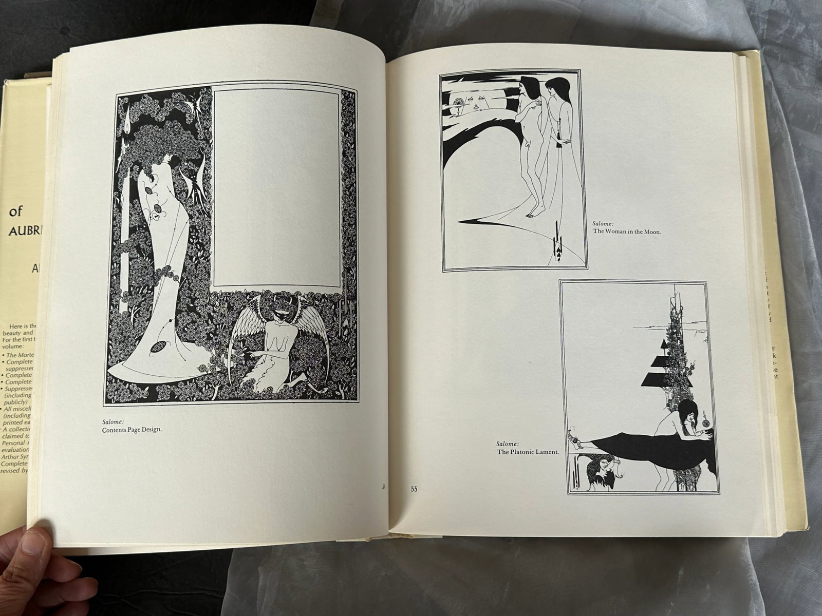 Vintage Collected Drawings of Aubrey Beardsley Art Print Book - 12