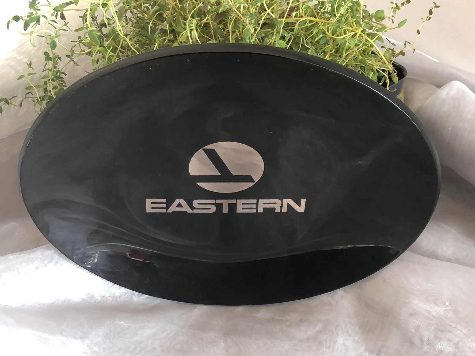 Vintage Eastern Airlines Smoked Glass Tray - 12