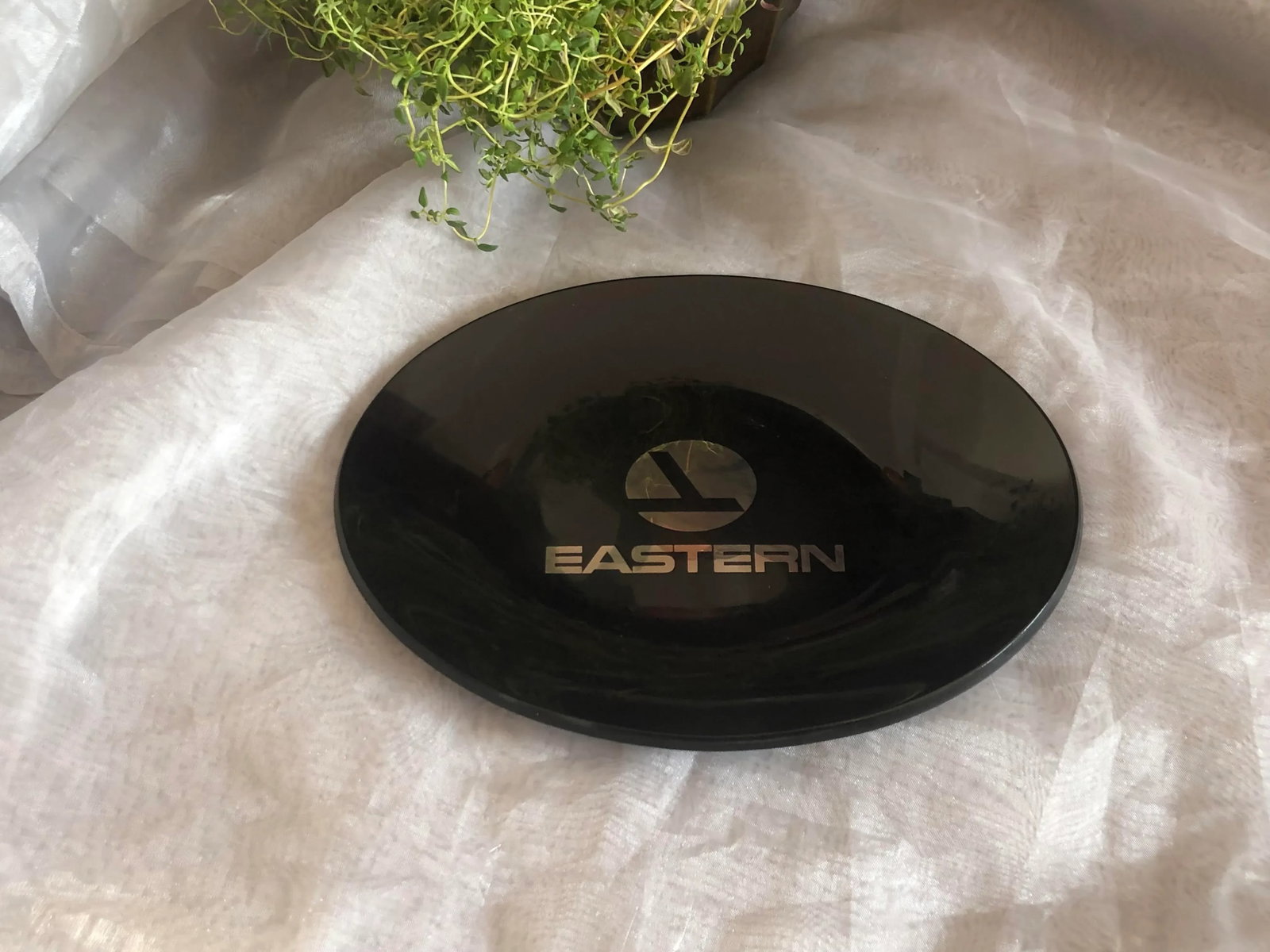 Vintage Eastern Airlines Smoked Glass Tray - 2