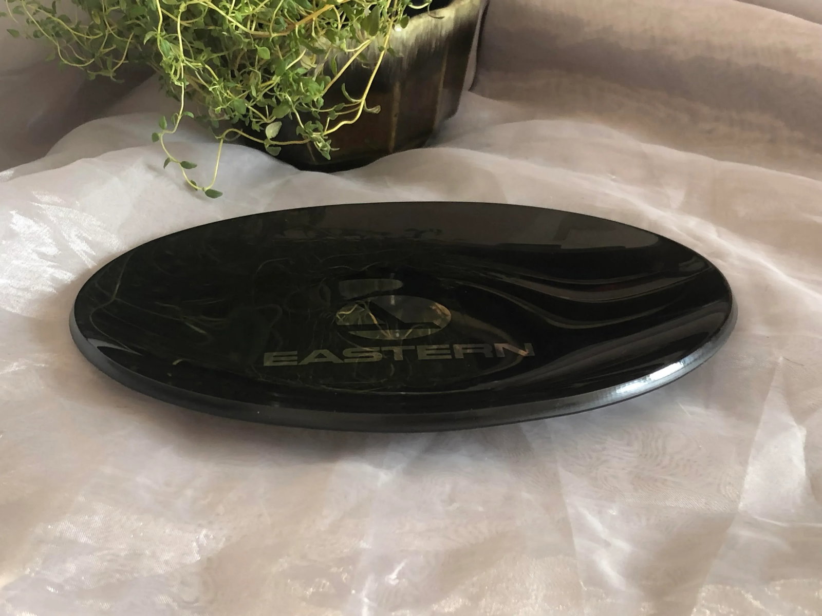 Vintage Eastern Airlines Smoked Glass Tray - 3
