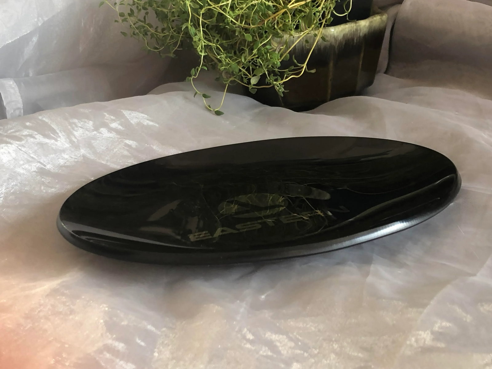 Vintage Eastern Airlines Smoked Glass Tray - 6