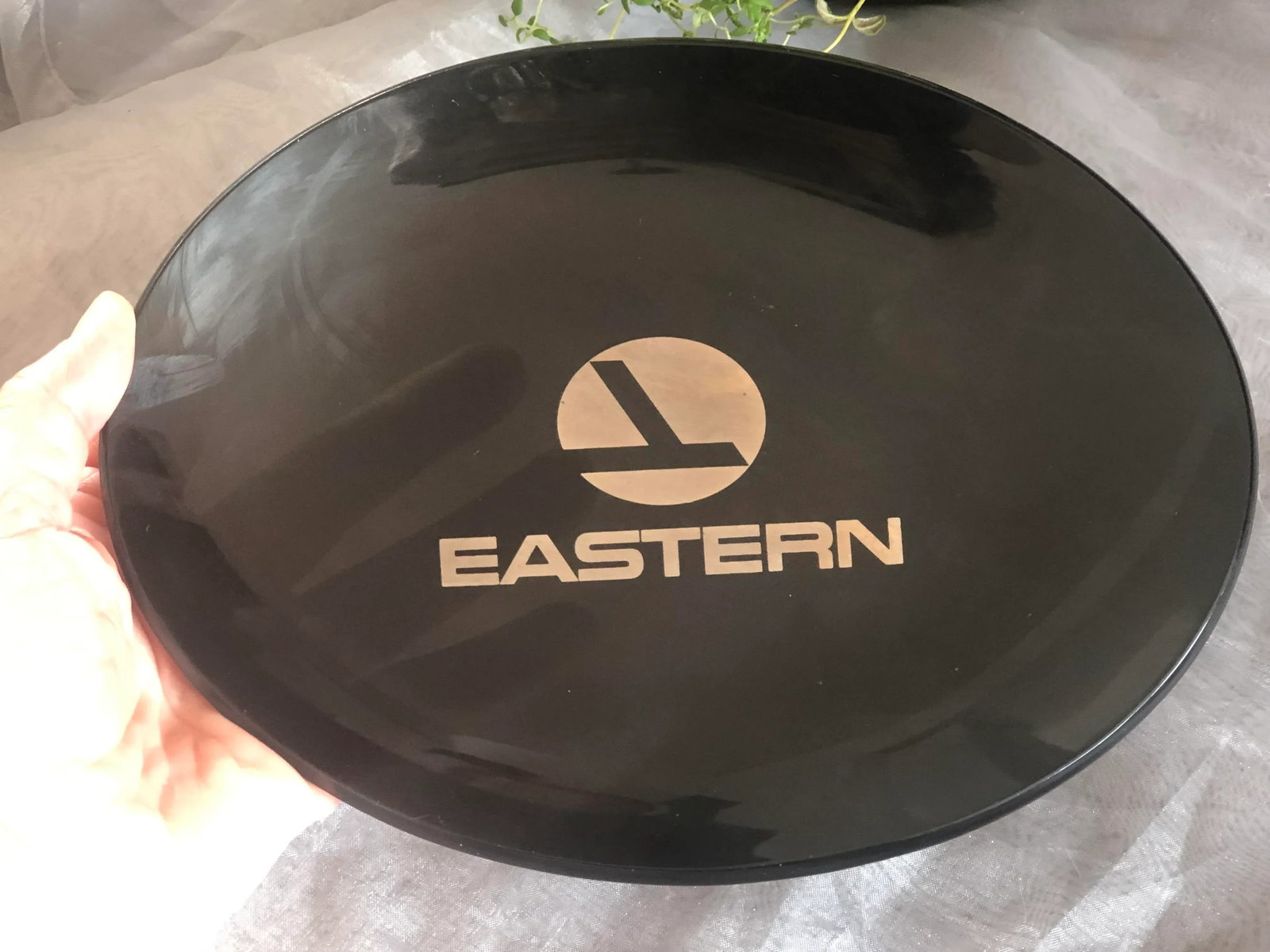 Vintage Eastern Airlines Smoked Glass Tray - 9