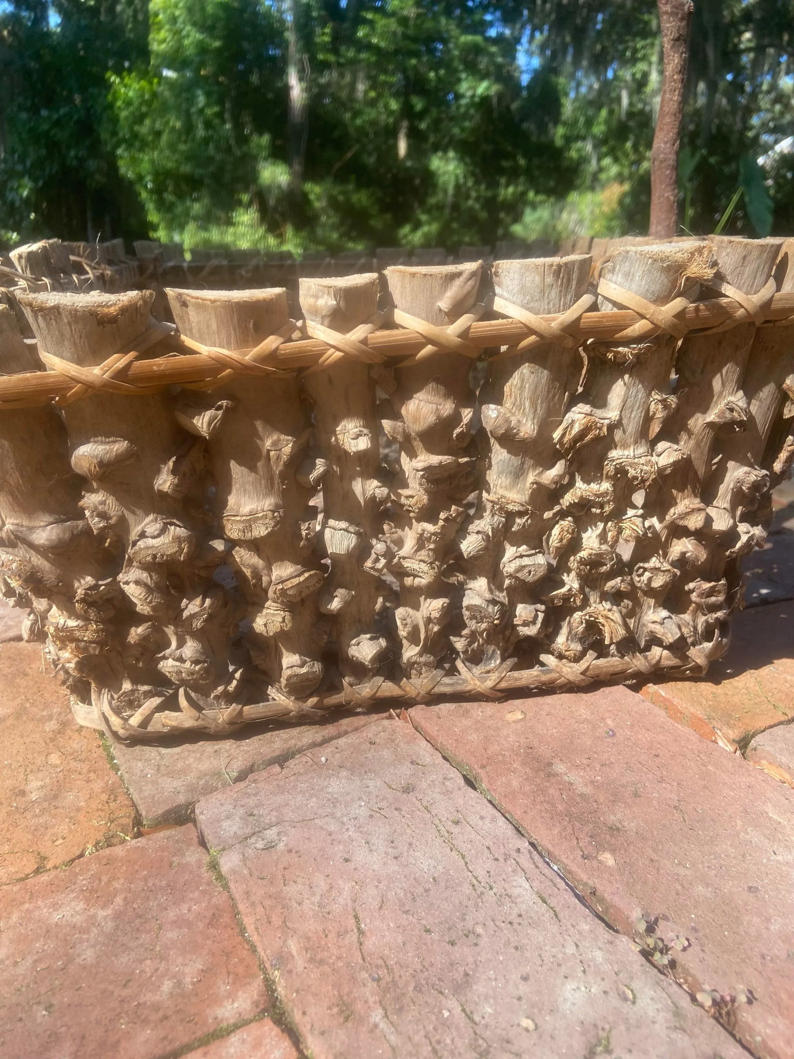 Vintage North Carolina Hand Made Twig Foraging Basket - 9