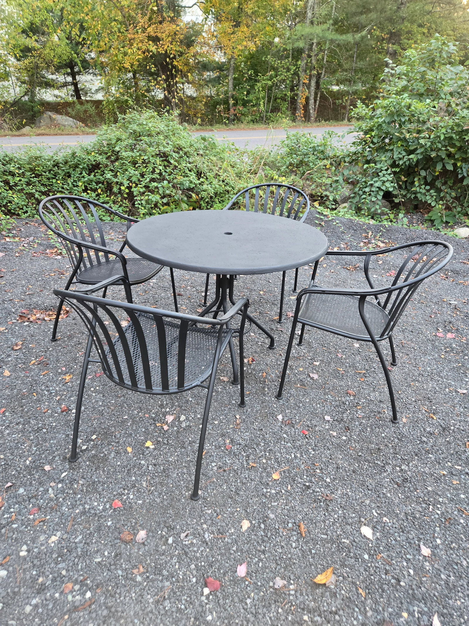 Woodard Wrought Iron Valencia Dining Set - 10