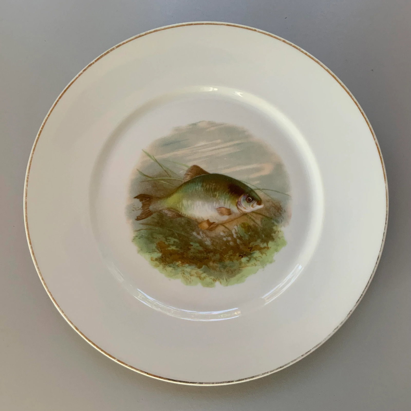 Vintage Alt Schonwald Bavarian Porcelain Fish Dishes- Set of 14 - 2