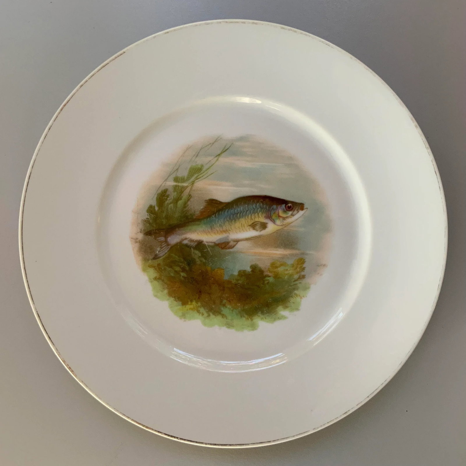 Vintage Alt Schonwald Bavarian Porcelain Fish Dishes- Set of 14 - 3