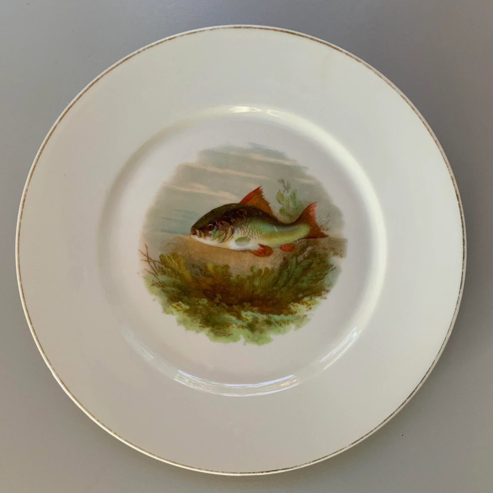 Vintage Alt Schonwald Bavarian Porcelain Fish Dishes- Set of 14 - 4