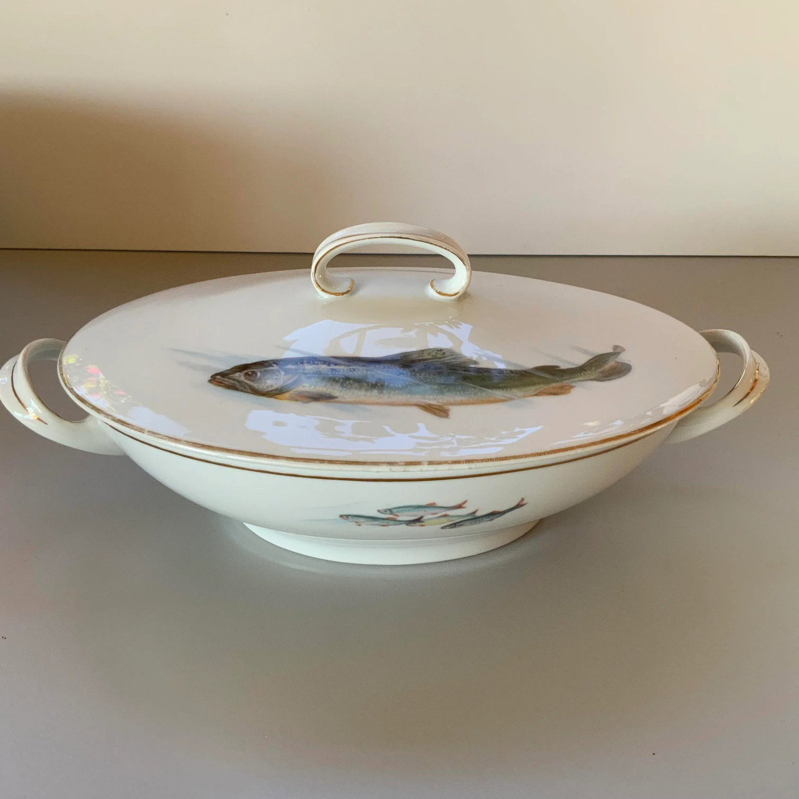 Vintage Alt Schonwald Bavarian Porcelain Fish Dishes- Set of 14 - 6