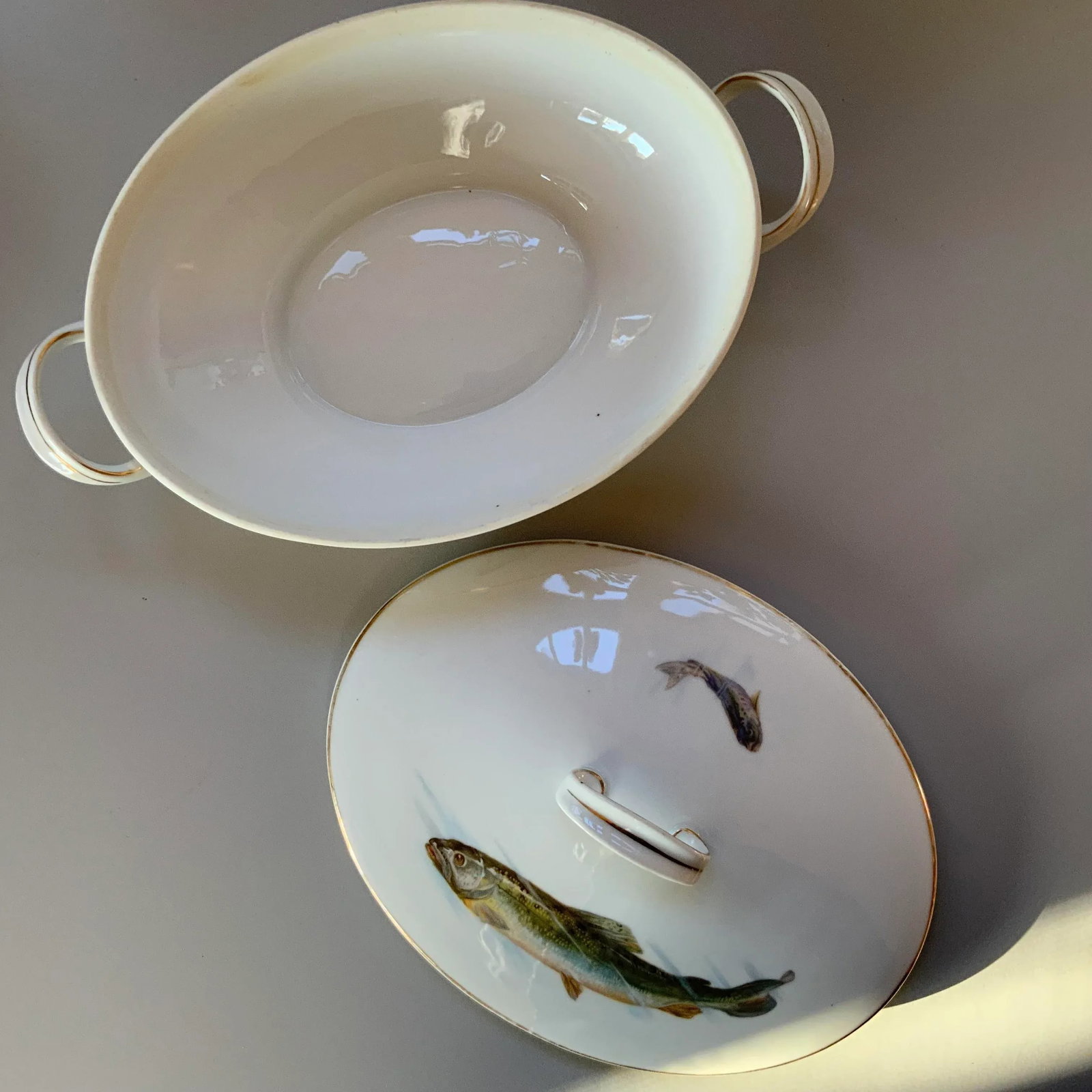 Vintage Alt Schonwald Bavarian Porcelain Fish Dishes- Set of 14 - 7