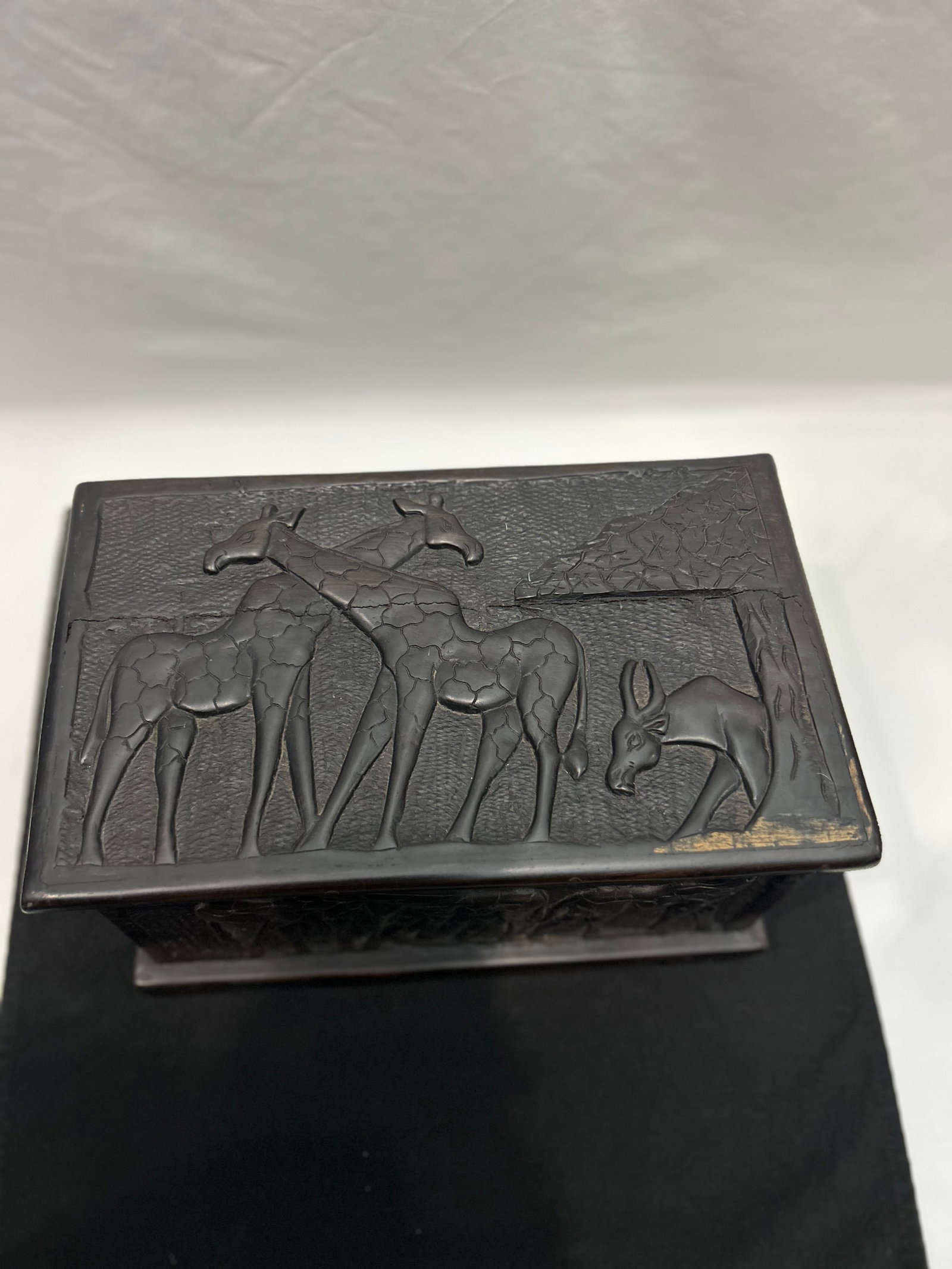 African Blackwood Relief-Carved Box (Tanzania) - 4