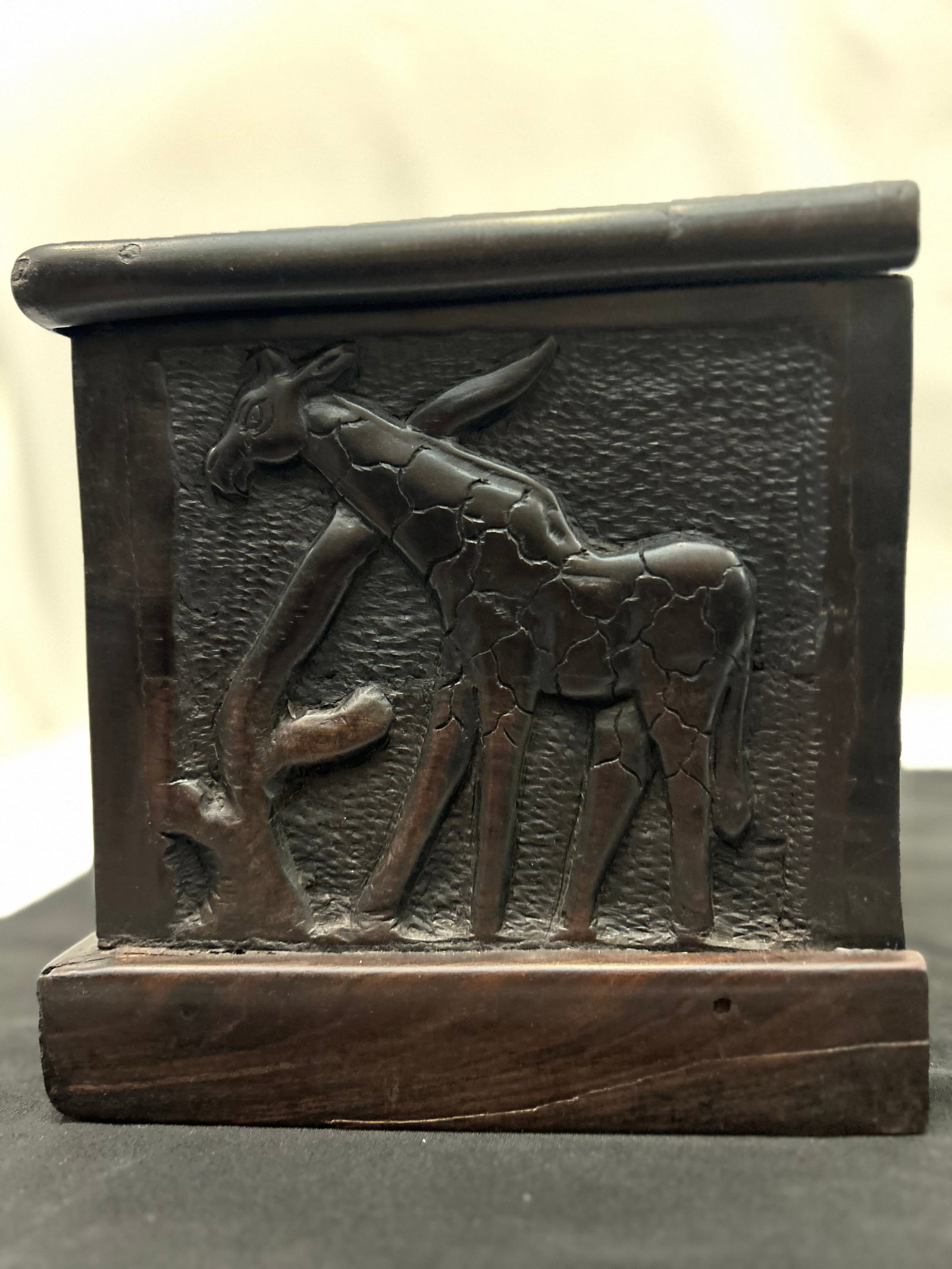 African Blackwood Relief-Carved Box (Tanzania) - 7