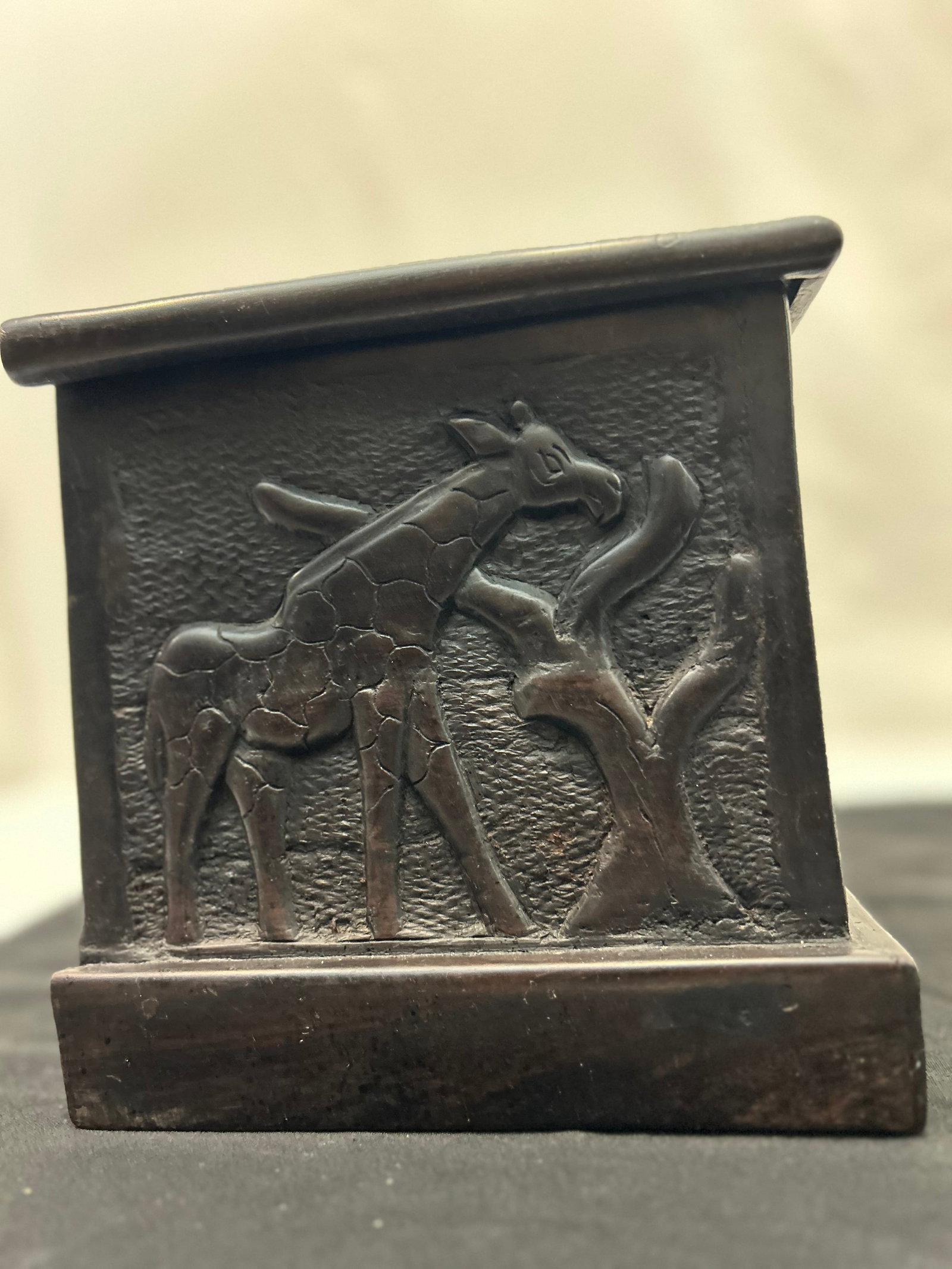 African Blackwood Relief-Carved Box (Tanzania) - 8