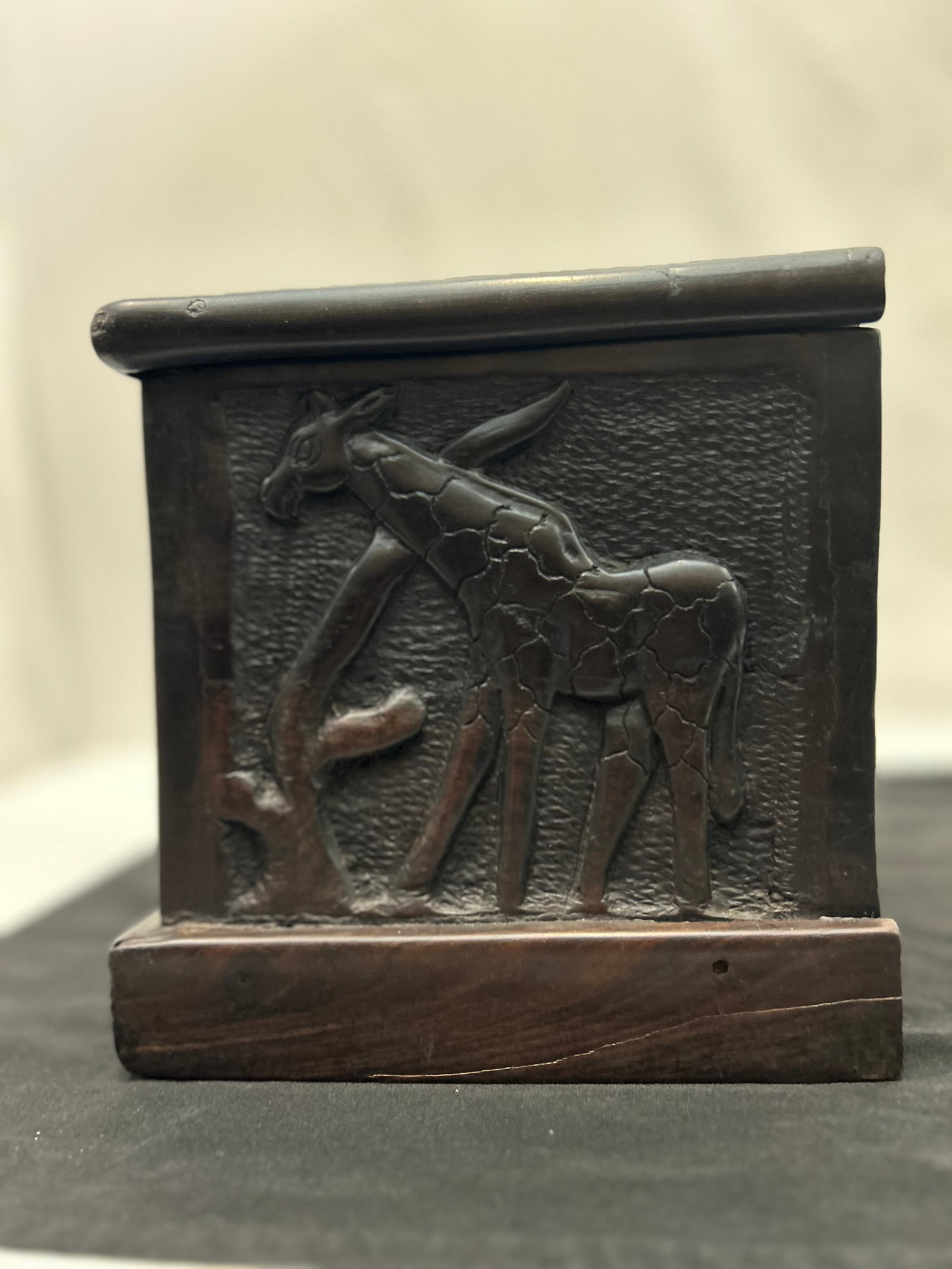 African Blackwood Relief-Carved Box (Tanzania) - 9