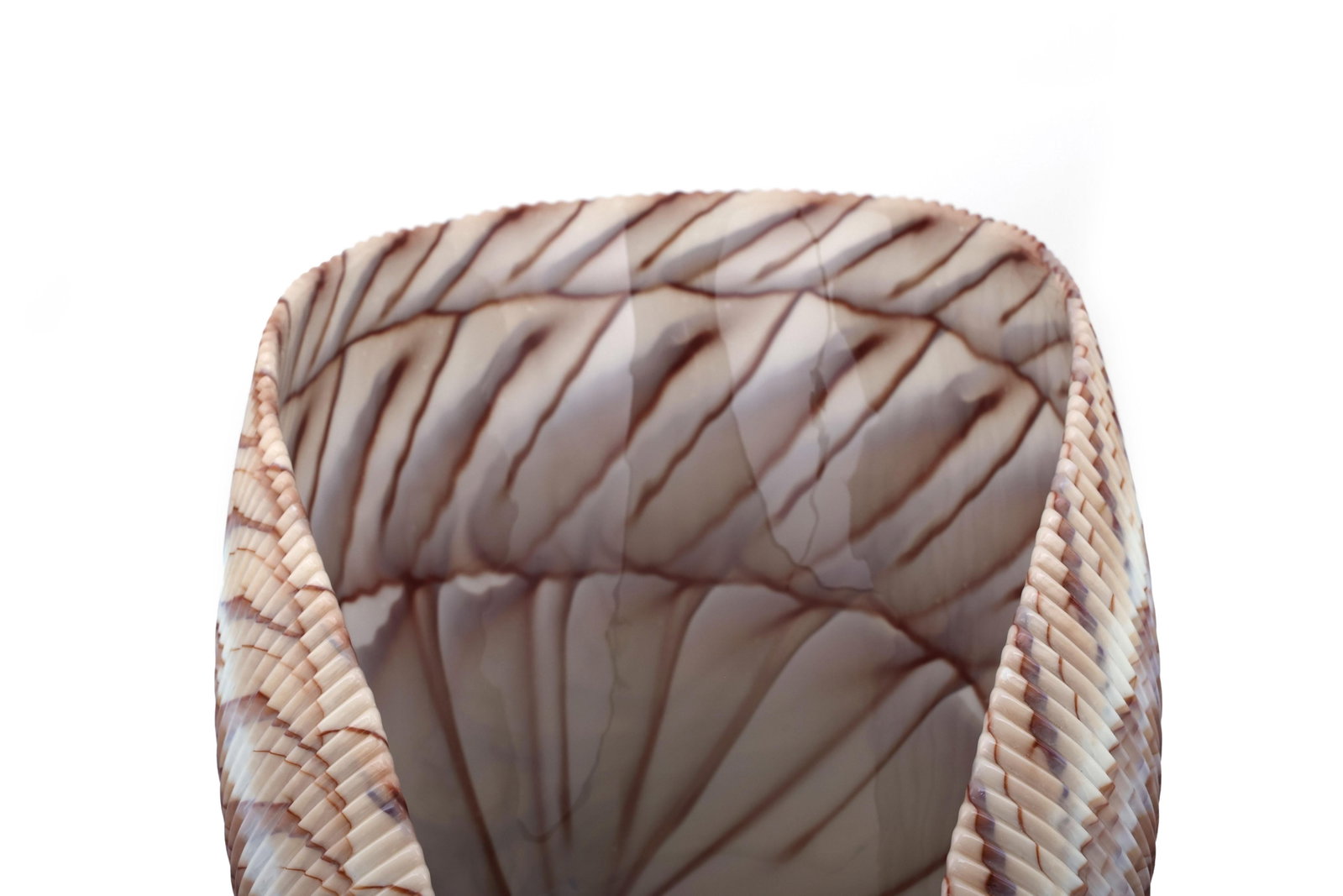 Large Yalos Murano Shell Ivory and Brown Glass Bowl - Folded Glass Centerpiece - 10