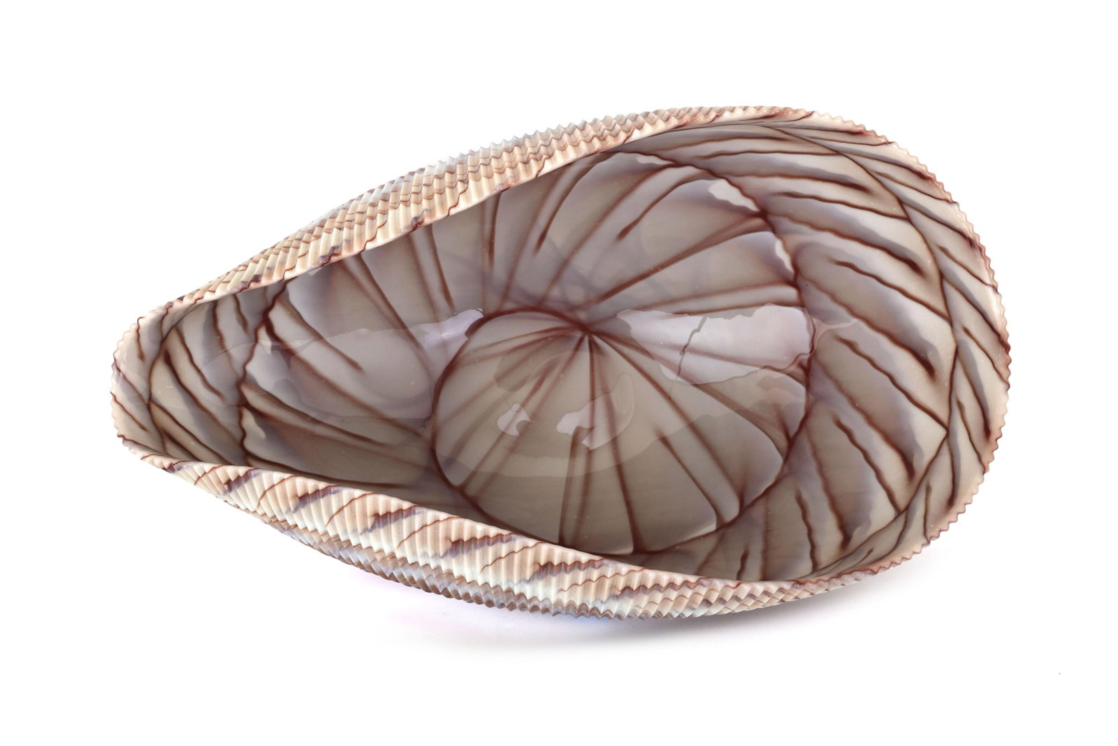Large Yalos Murano Shell Ivory and Brown Glass Bowl - Folded Glass Centerpiece - 2