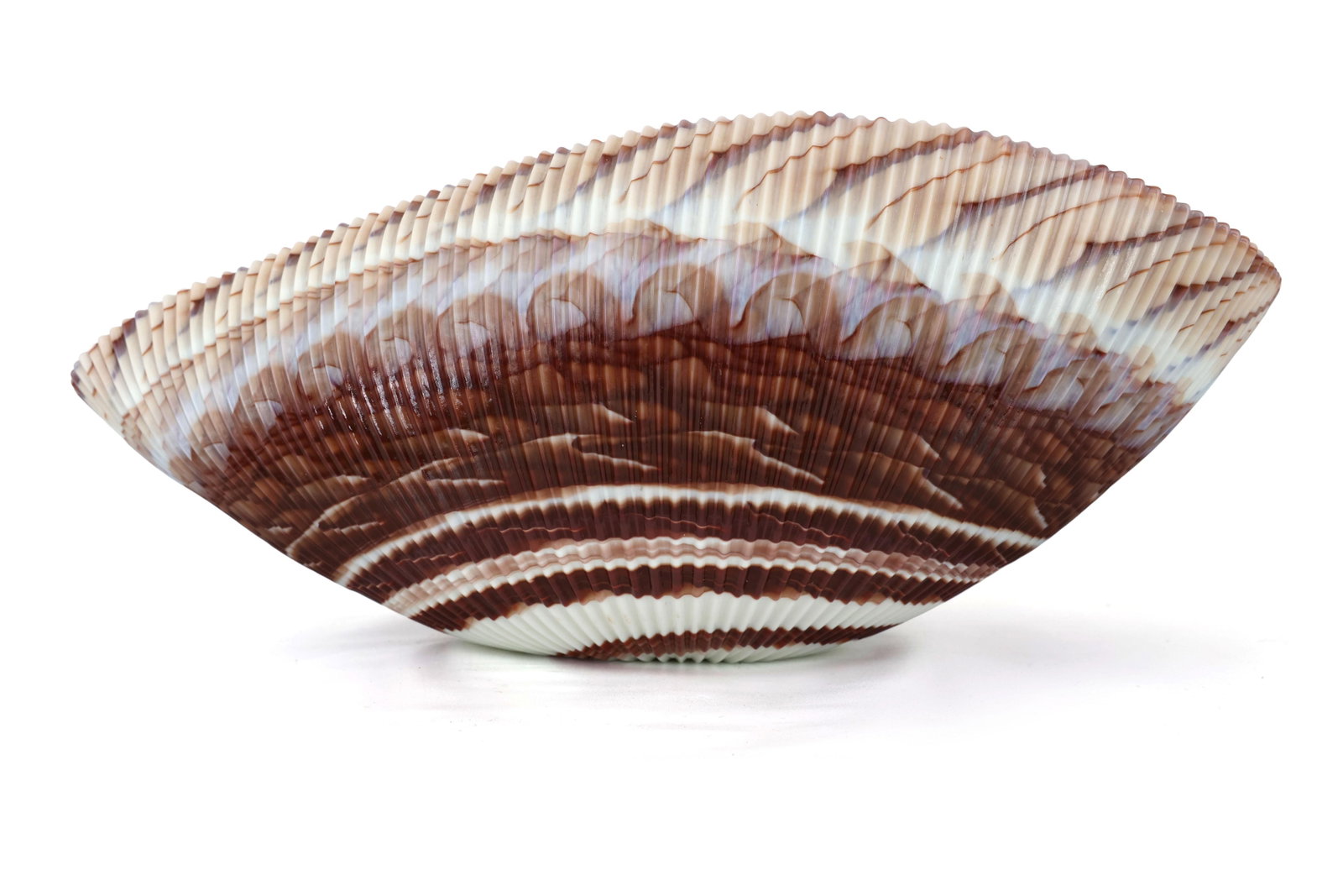Large Yalos Murano Shell Ivory and Brown Glass Bowl - Folded Glass Centerpiece - 4
