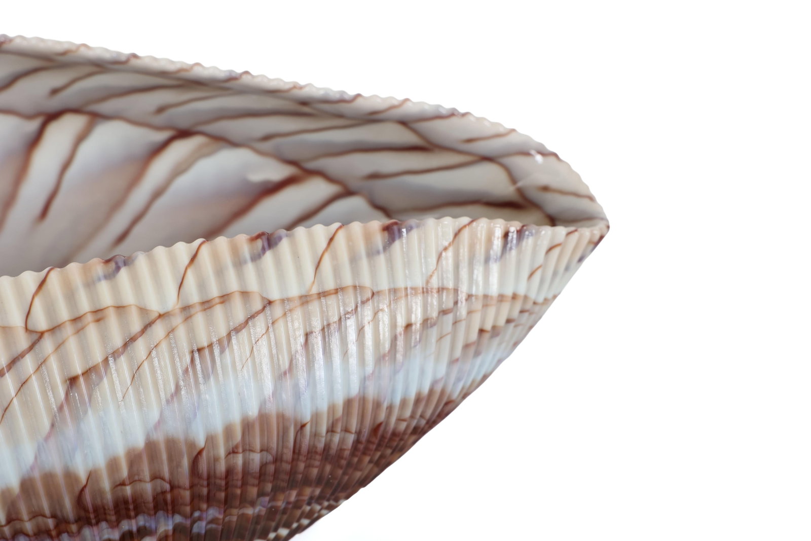 Large Yalos Murano Shell Ivory and Brown Glass Bowl - Folded Glass Centerpiece - 8