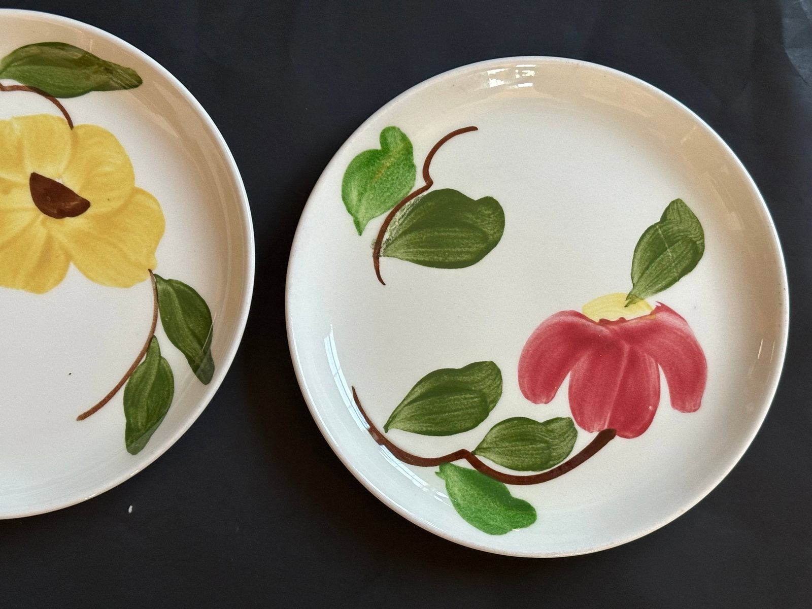 Mid 20th Century Stetson Hand Painted Plates Set of 8 for Dessert, Salad, Bread, or Hor'dourves - 11