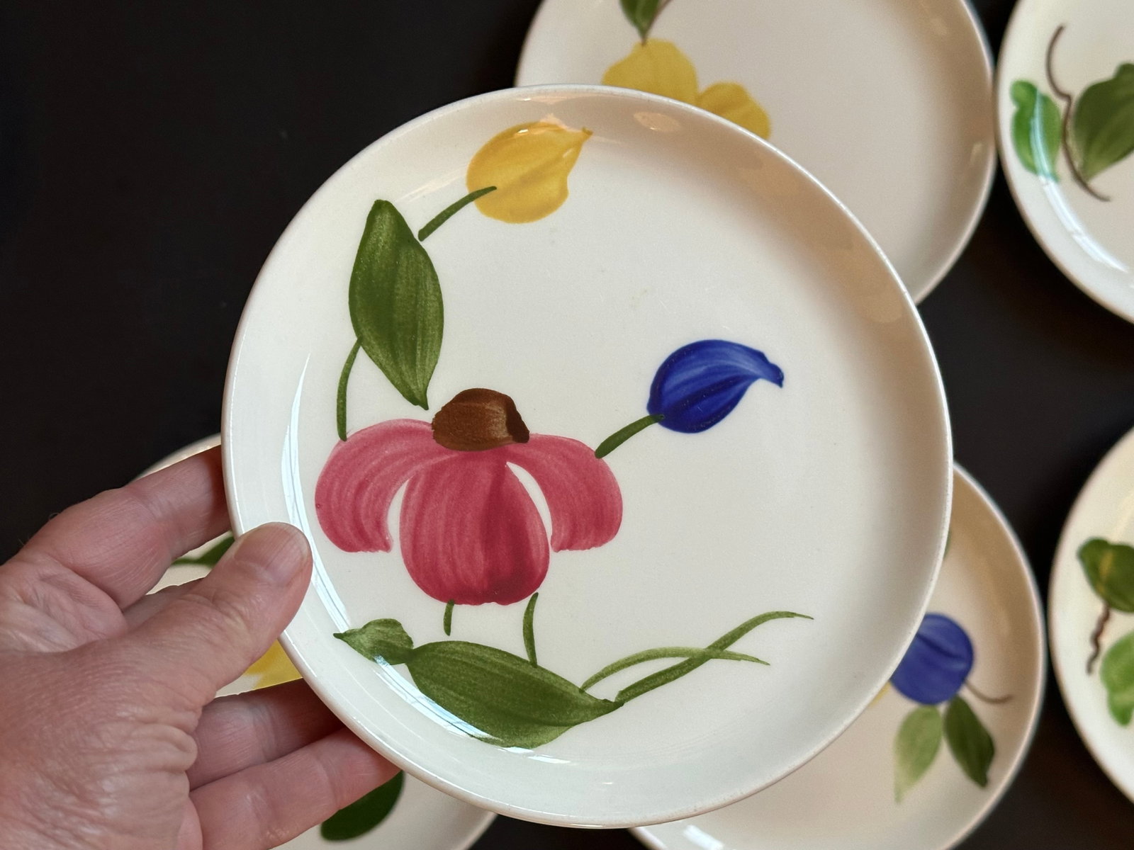 Mid 20th Century Stetson Hand Painted Plates Set of 8 for Dessert, Salad, Bread, or Hor'dourves - 13