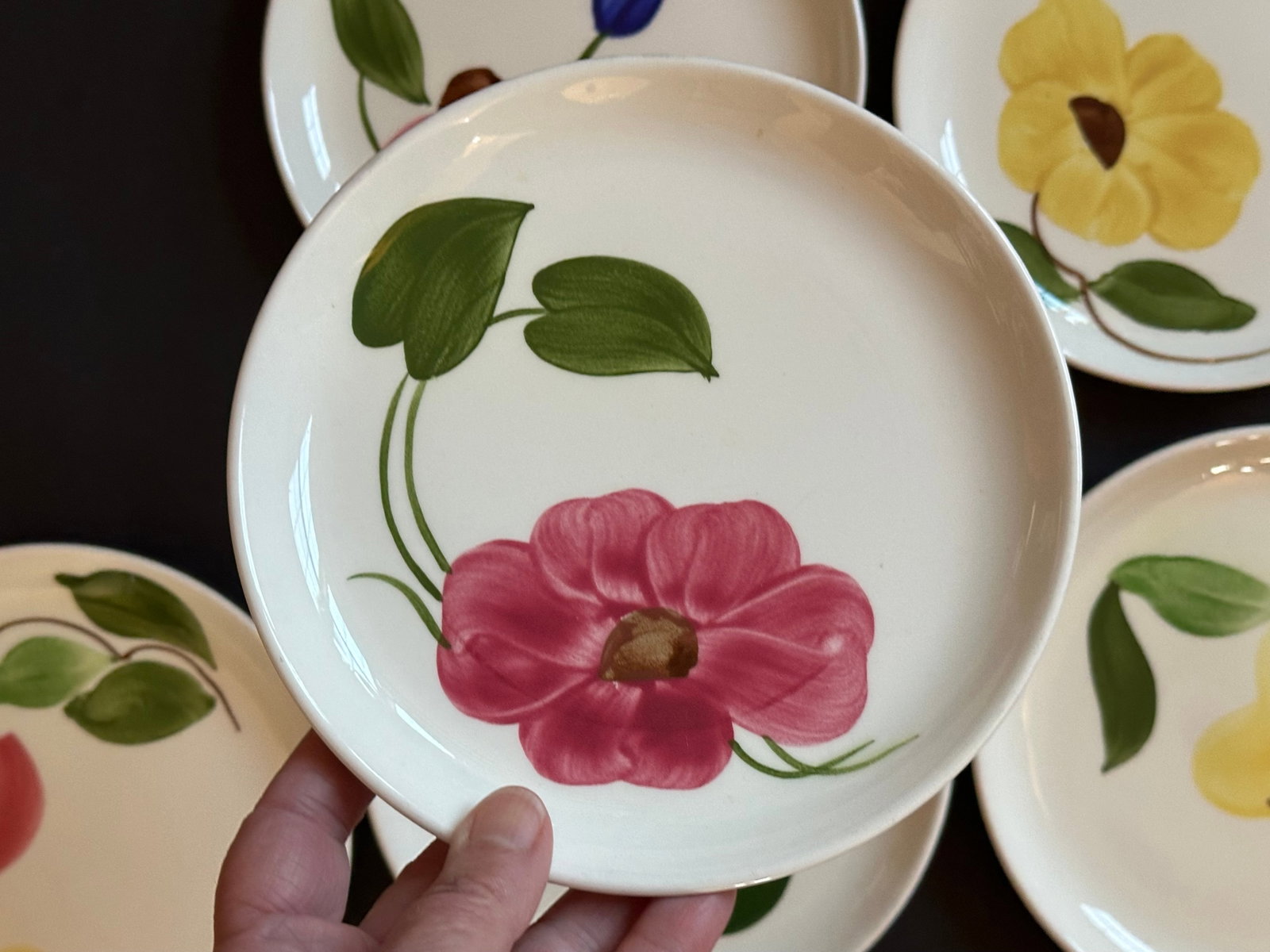 Mid 20th Century Stetson Hand Painted Plates Set of 8 for Dessert, Salad, Bread, or Hor'dourves - 14