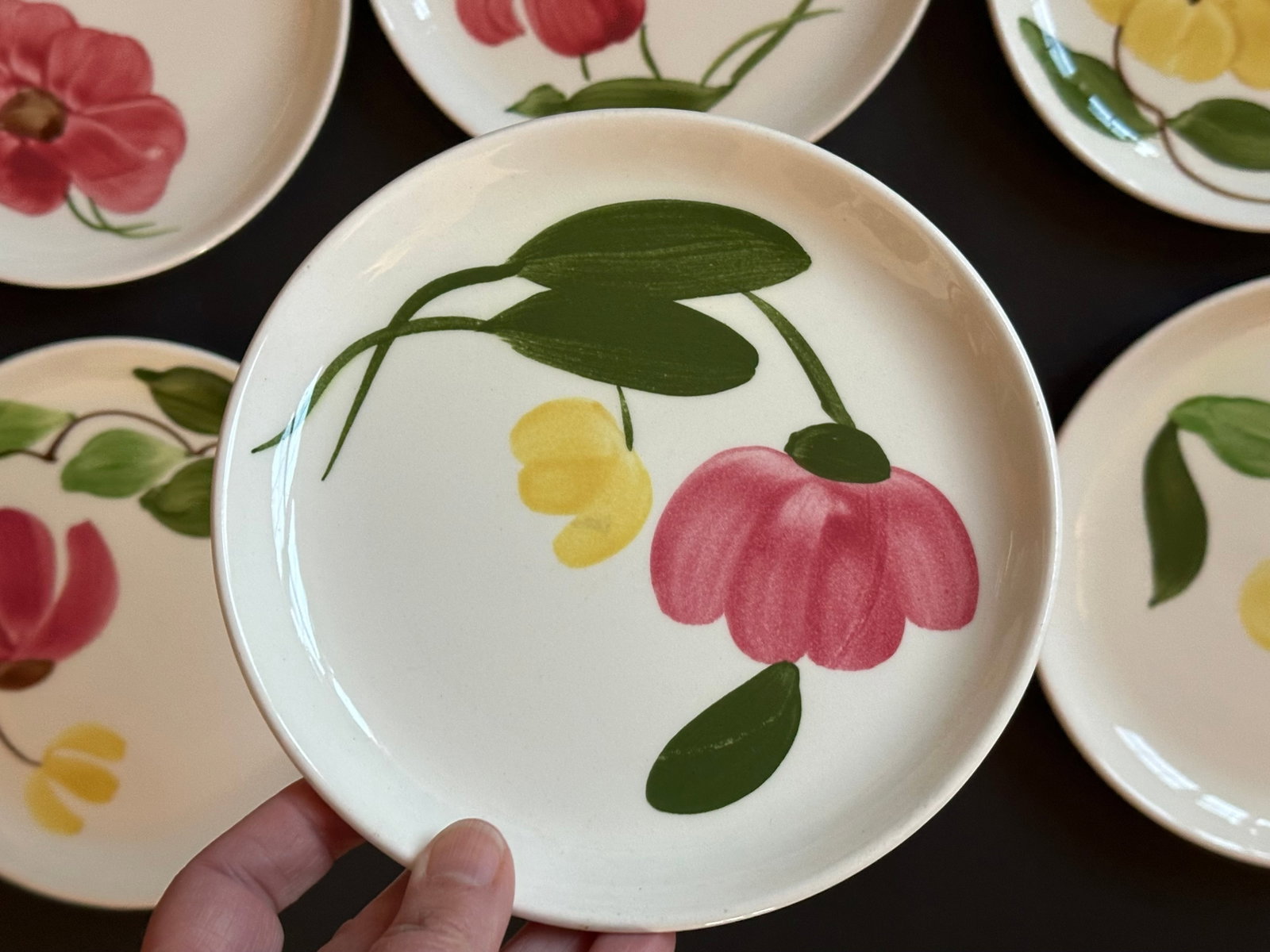 Mid 20th Century Stetson Hand Painted Plates Set of 8 for Dessert, Salad, Bread, or Hor'dourves - 15