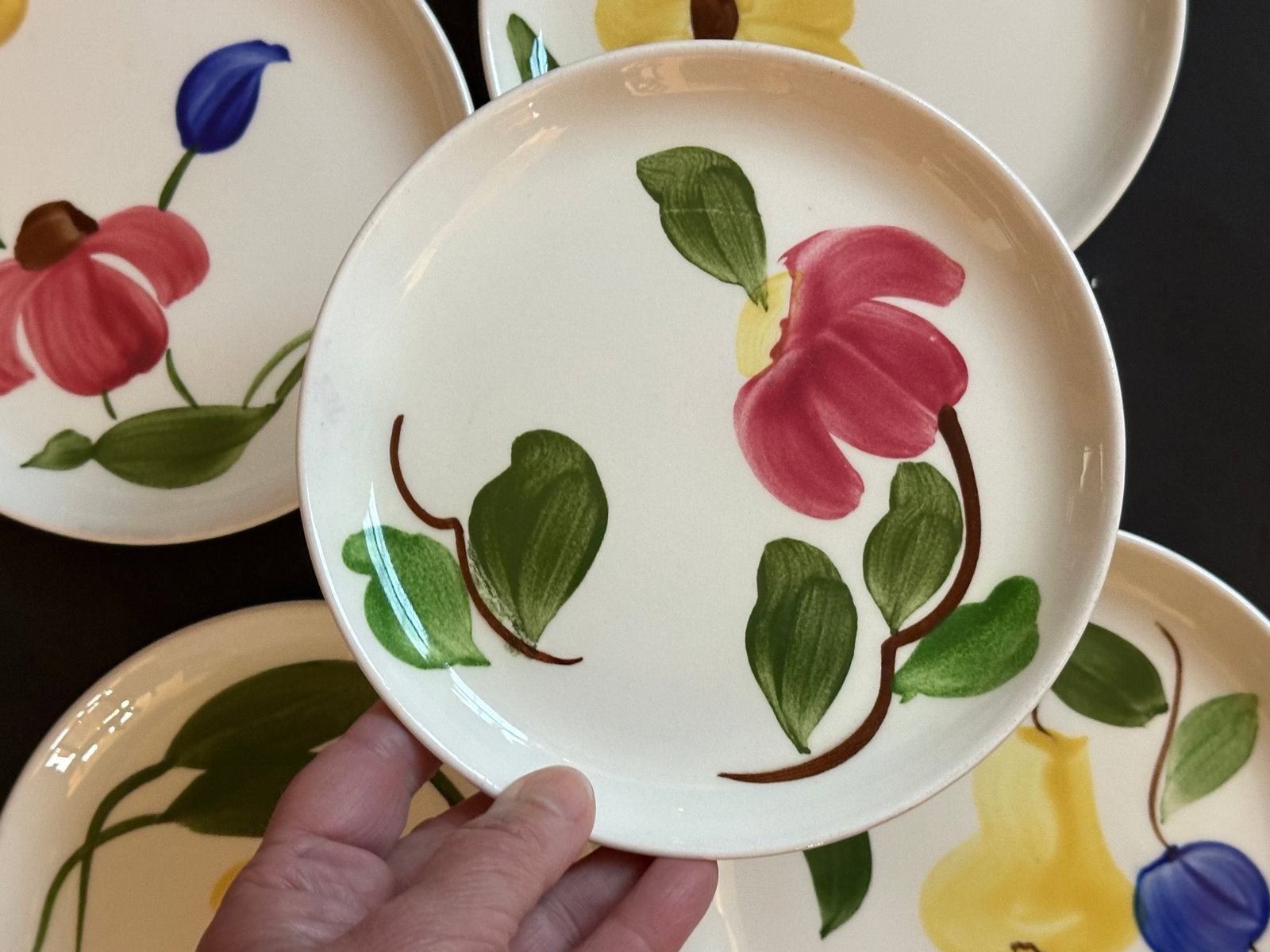 Mid 20th Century Stetson Hand Painted Plates Set of 8 for Dessert, Salad, Bread, or Hor'dourves - 17