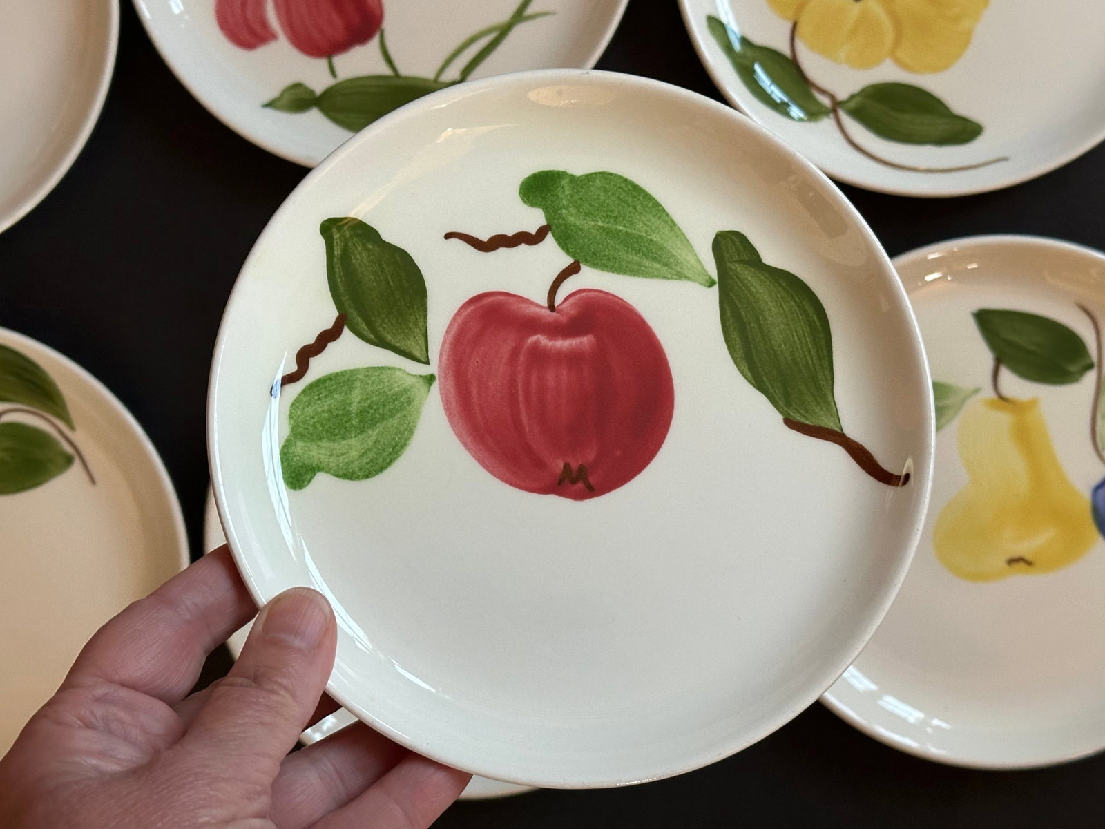 Mid 20th Century Stetson Hand Painted Plates Set of 8 for Dessert, Salad, Bread, or Hor'dourves - 18