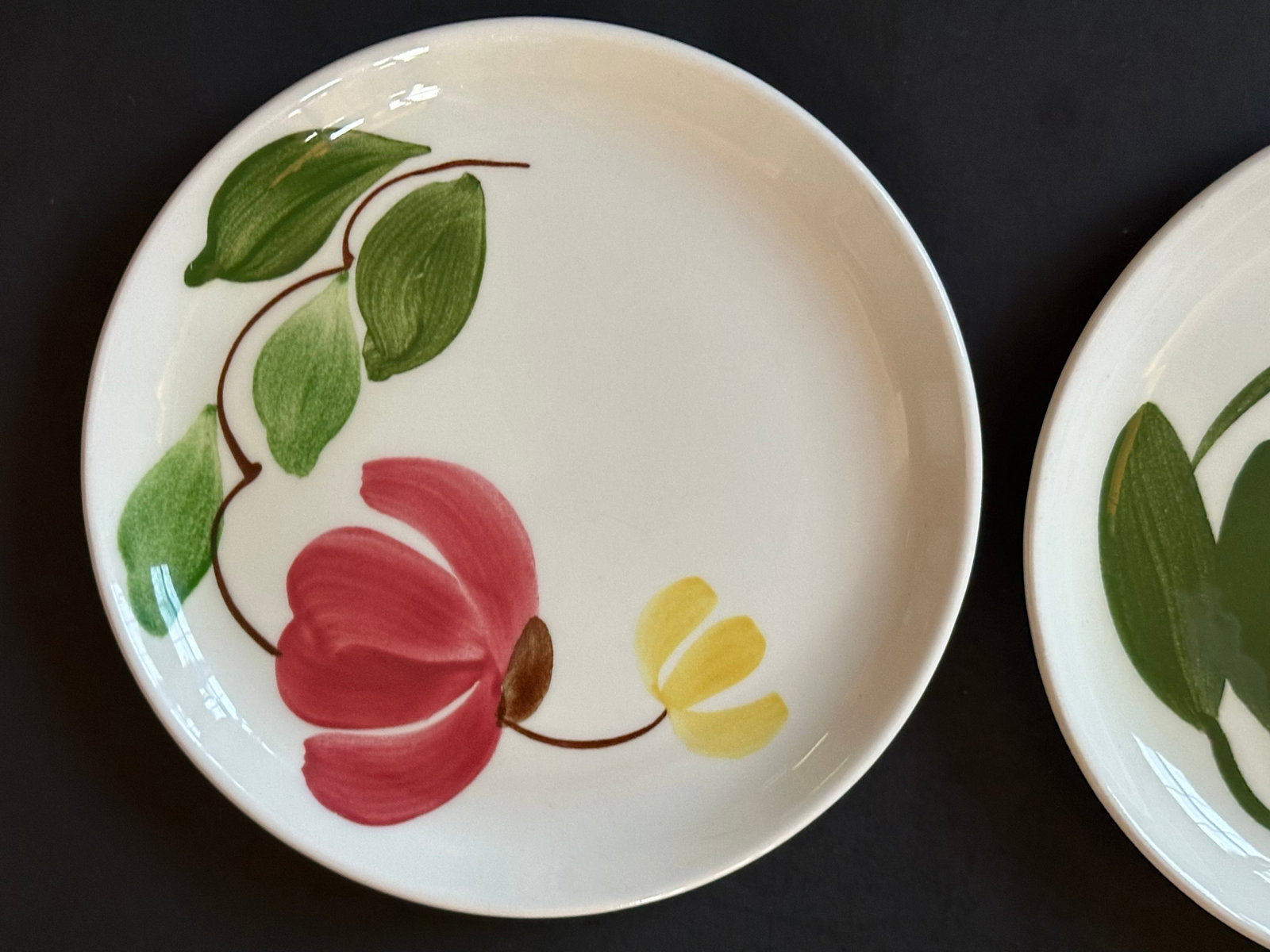 Mid 20th Century Stetson Hand Painted Plates Set of 8 for Dessert, Salad, Bread, or Hor'dourves - 3