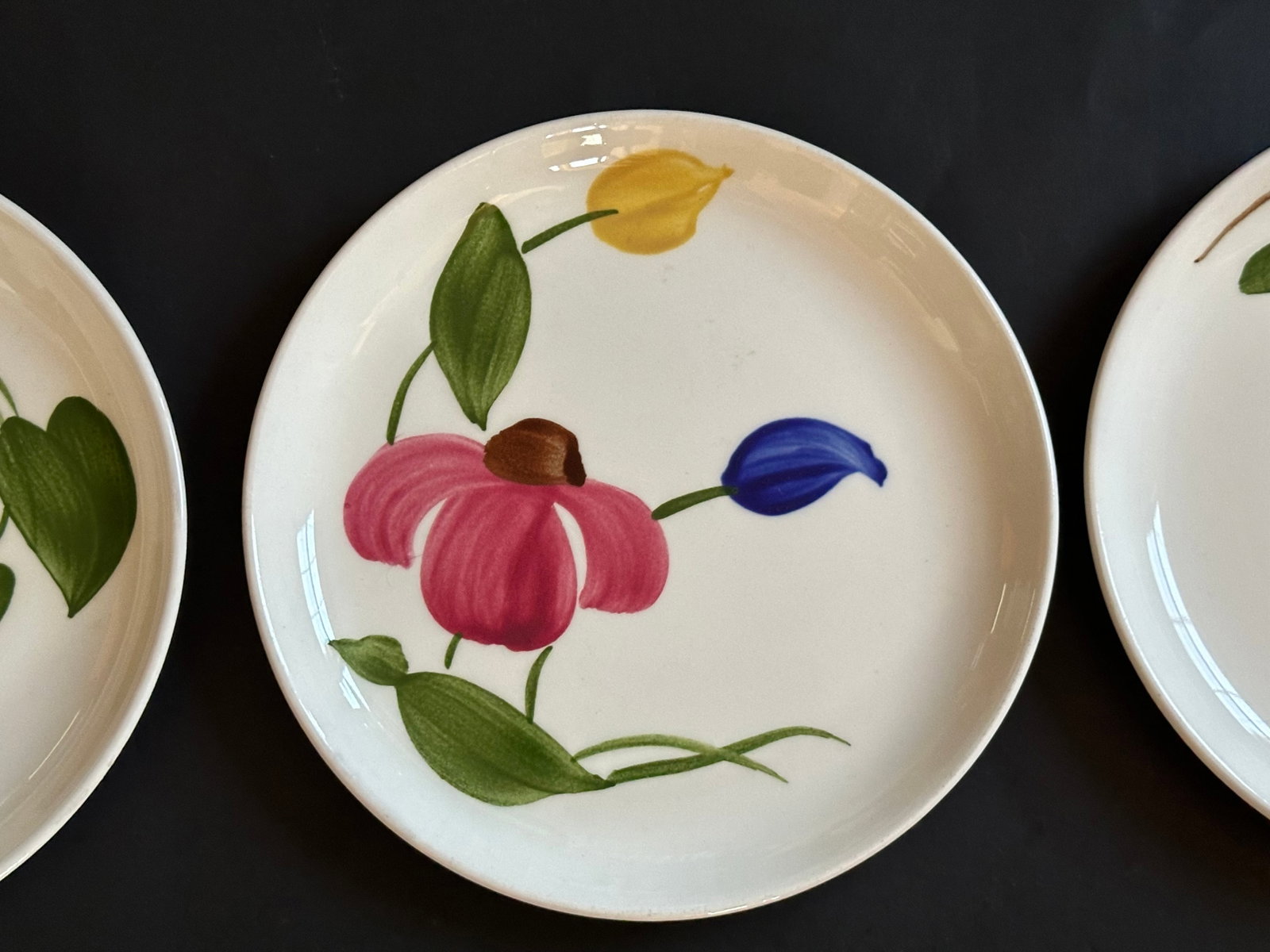 Mid 20th Century Stetson Hand Painted Plates Set of 8 for Dessert, Salad, Bread, or Hor'dourves - 6