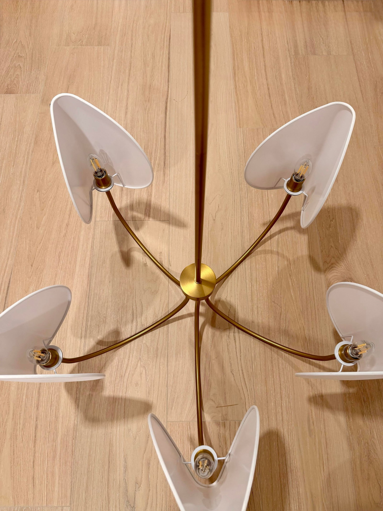 Contemporary 5 Light Chandelier With White Shades - 3