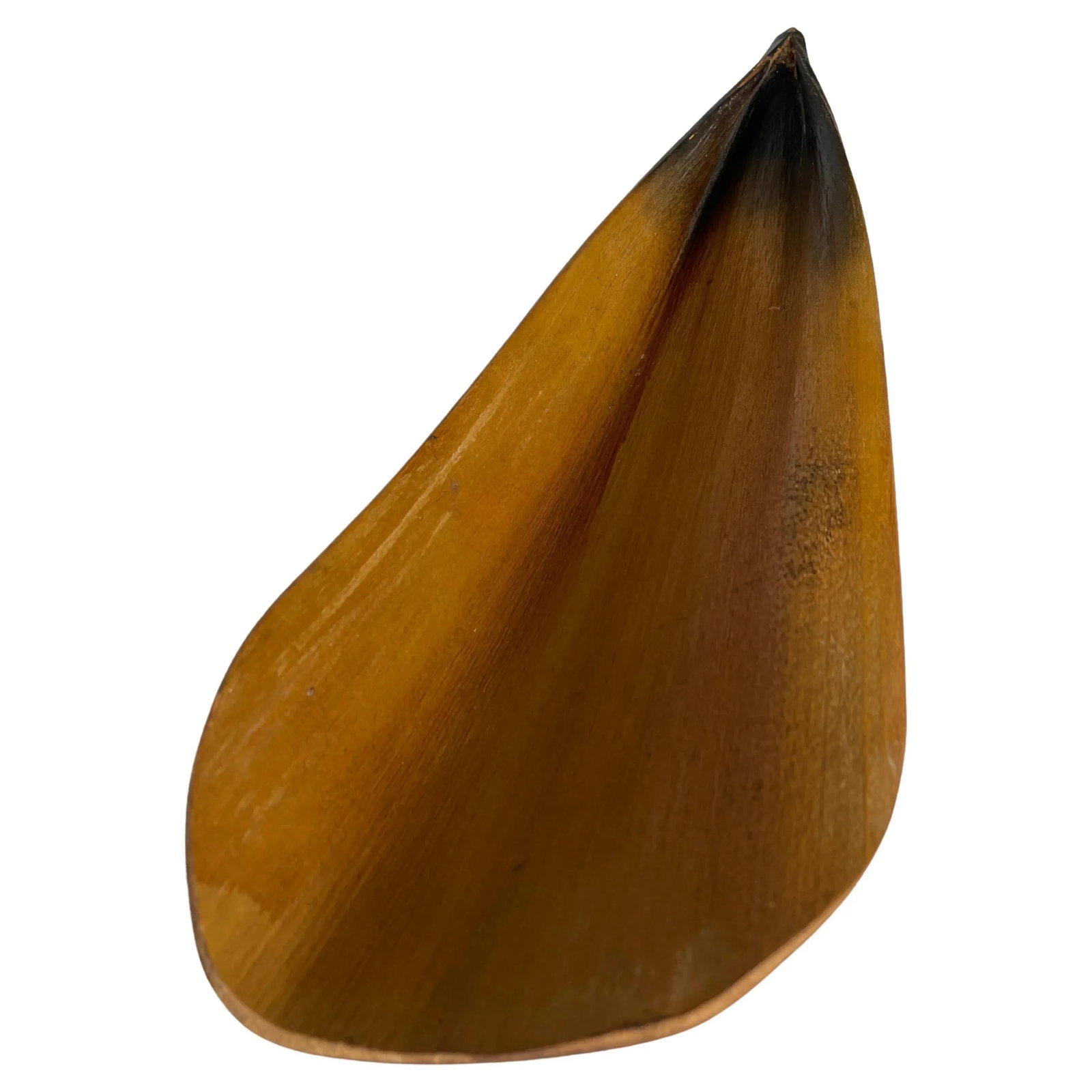 1950s Natural Florida Palm Leaf Centrepiece Tray - 12