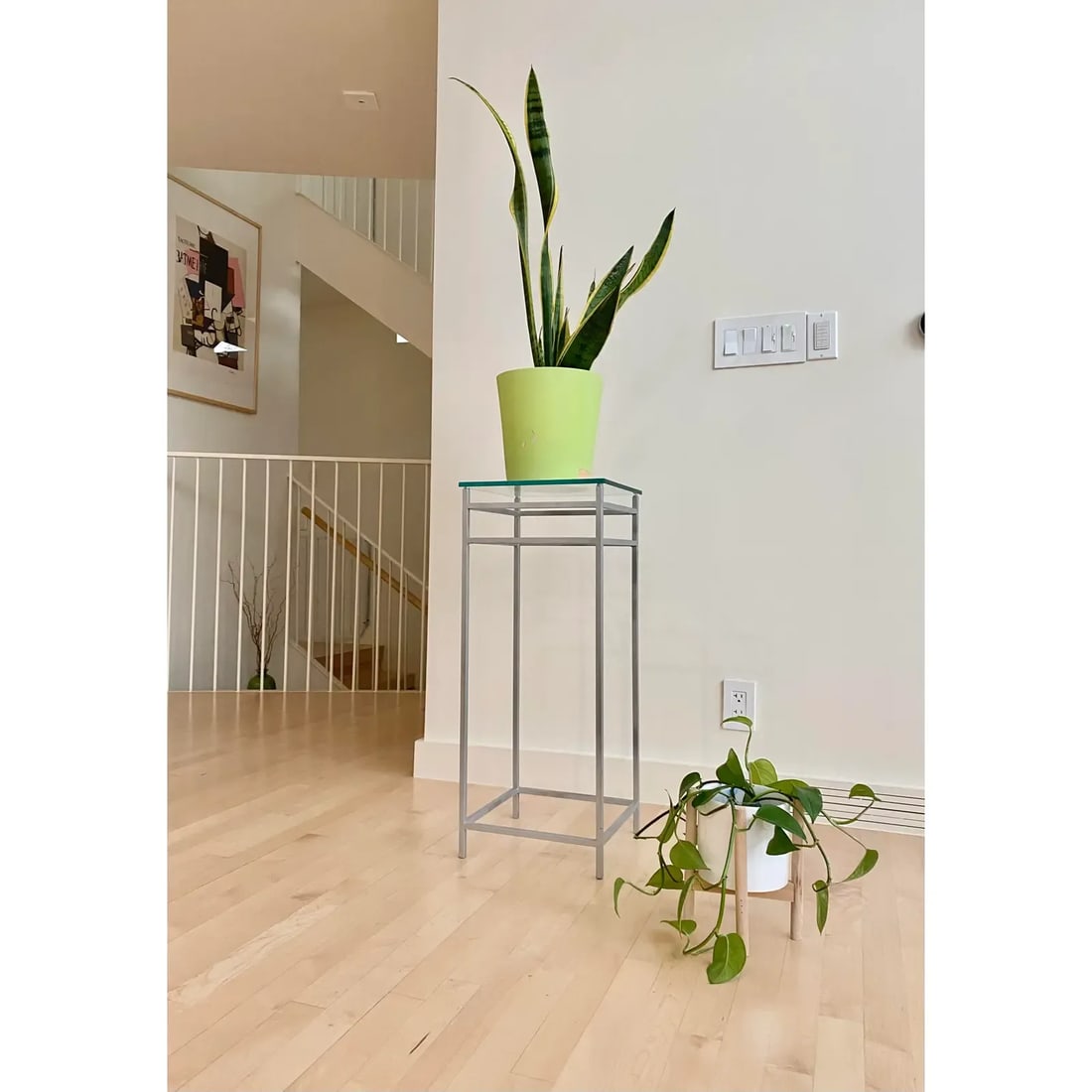 Minimalist Modernist Plant Stand (After Max Sauze) - 4