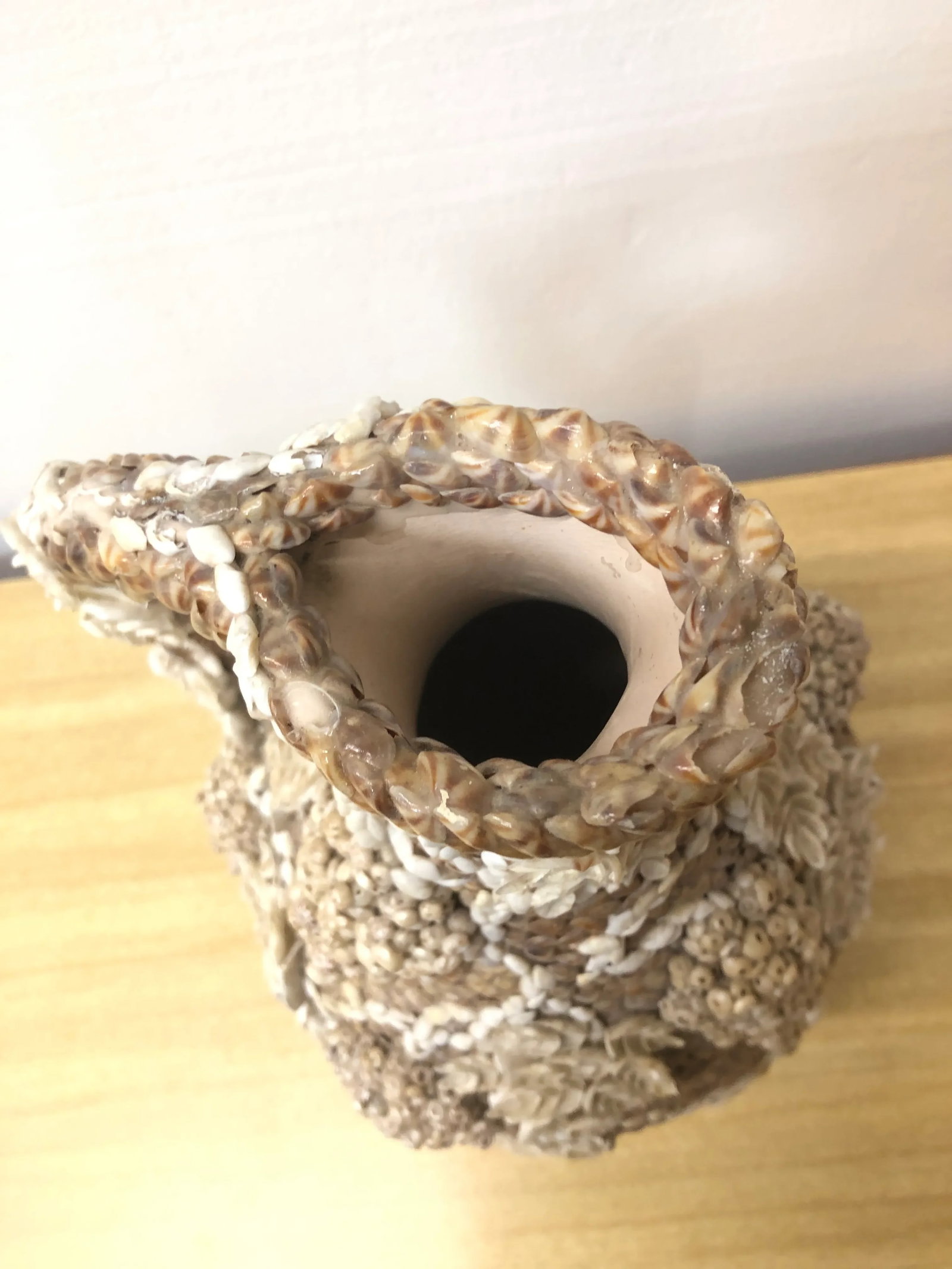 Early 20th Century Shell-Encrusted Pitcher With Grapevine Design - 2