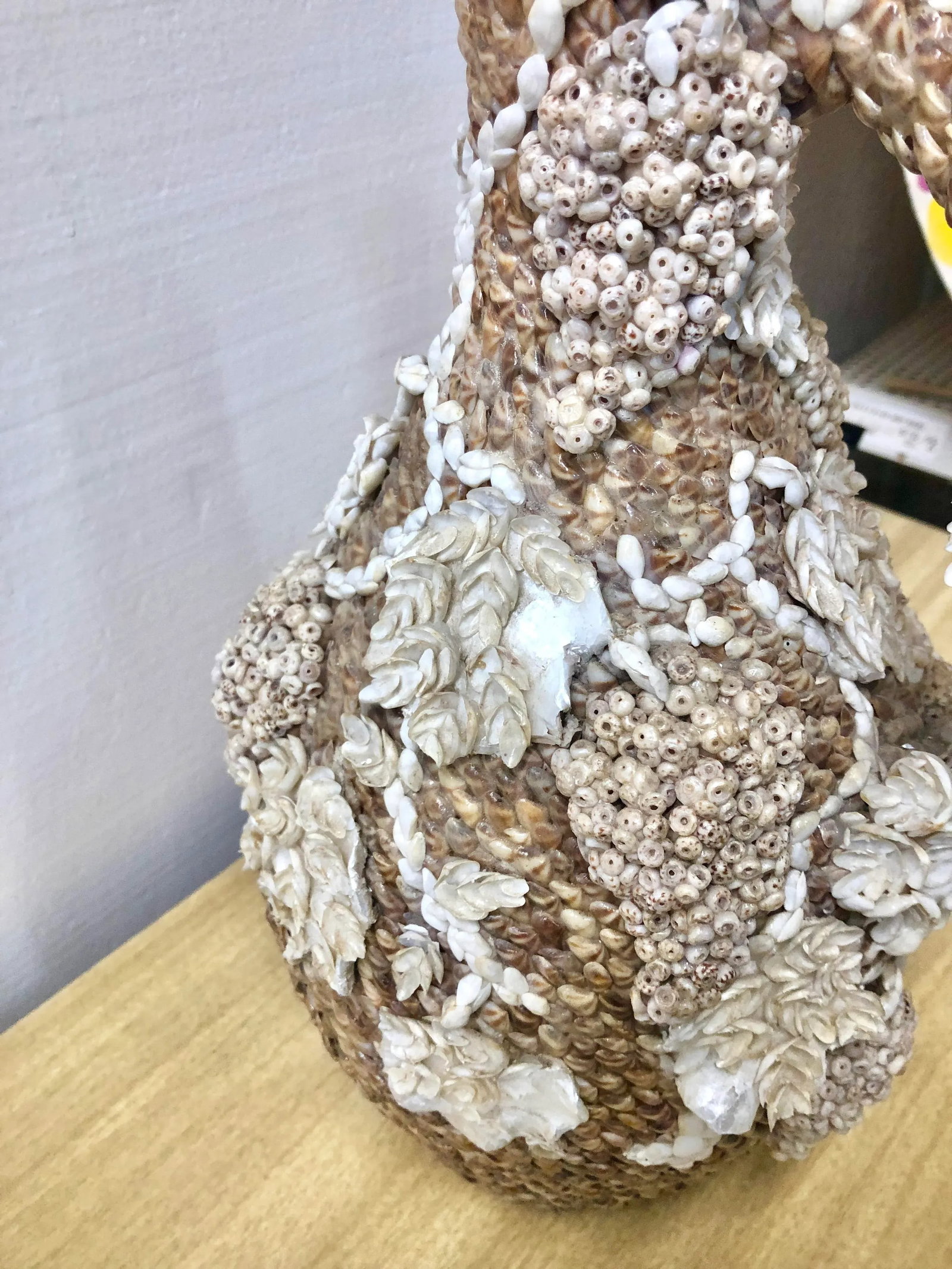 Early 20th Century Shell-Encrusted Pitcher With Grapevine Design - 7