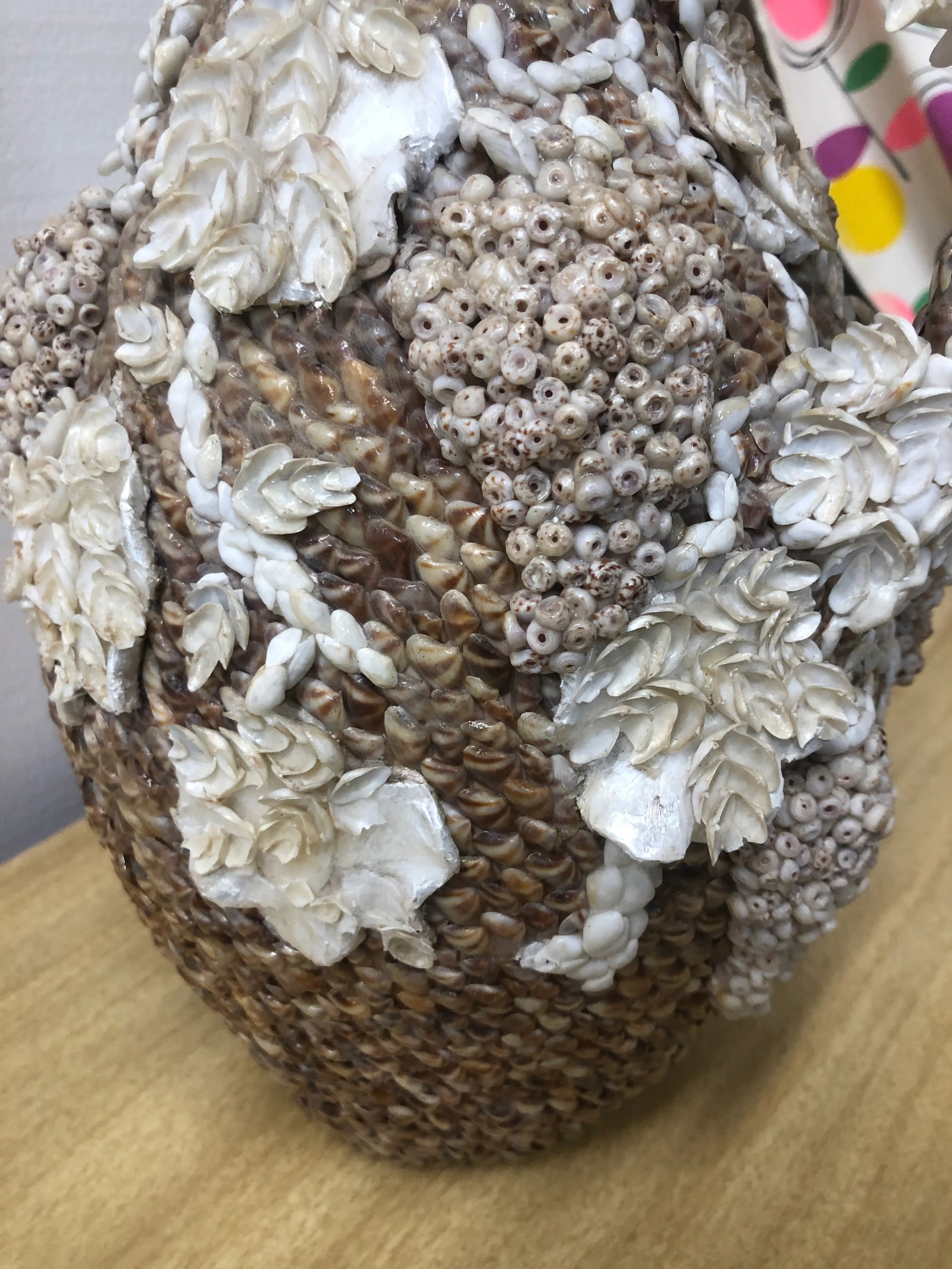 Early 20th Century Shell-Encrusted Pitcher With Grapevine Design - 8