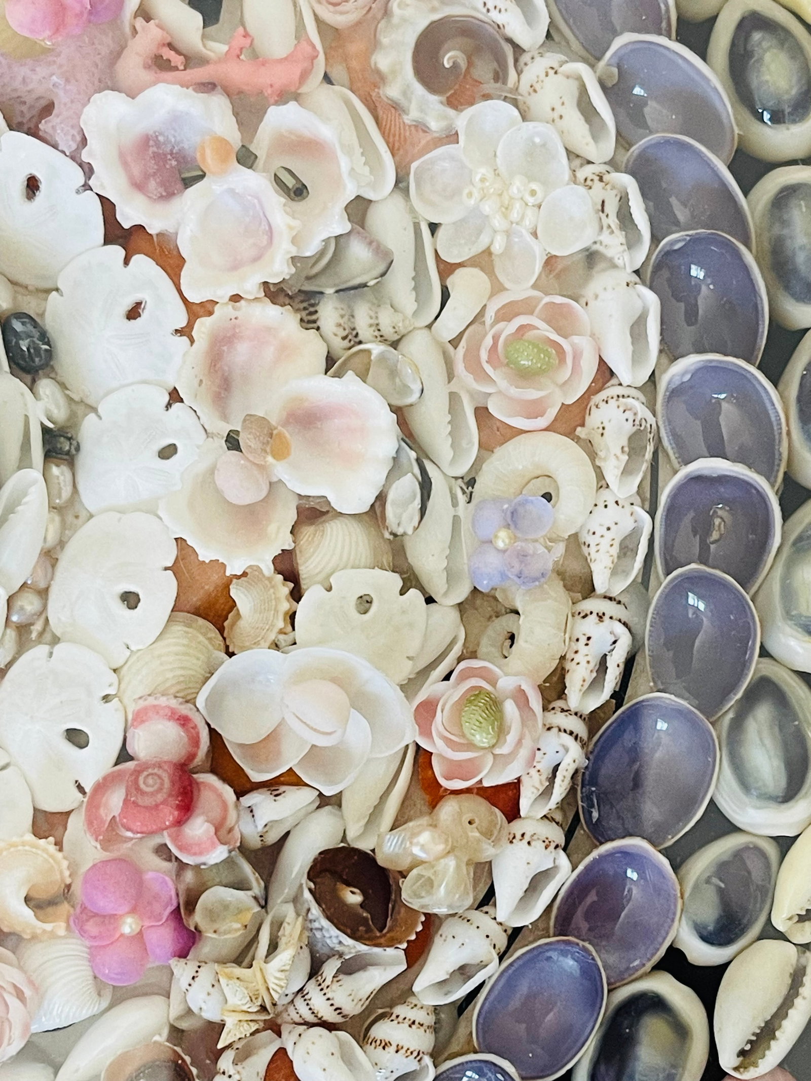 1950s Exquisite Vintage Sailors Valentines Sea Shells and Cameo - 6