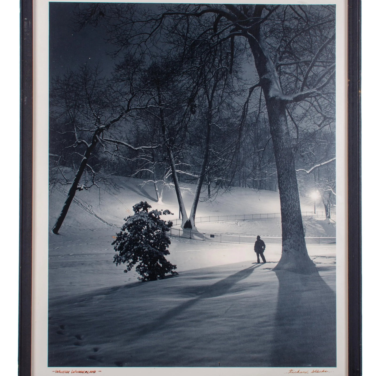 Winter Wonderland, Baltimore Photograph by Richard Stacks - 3