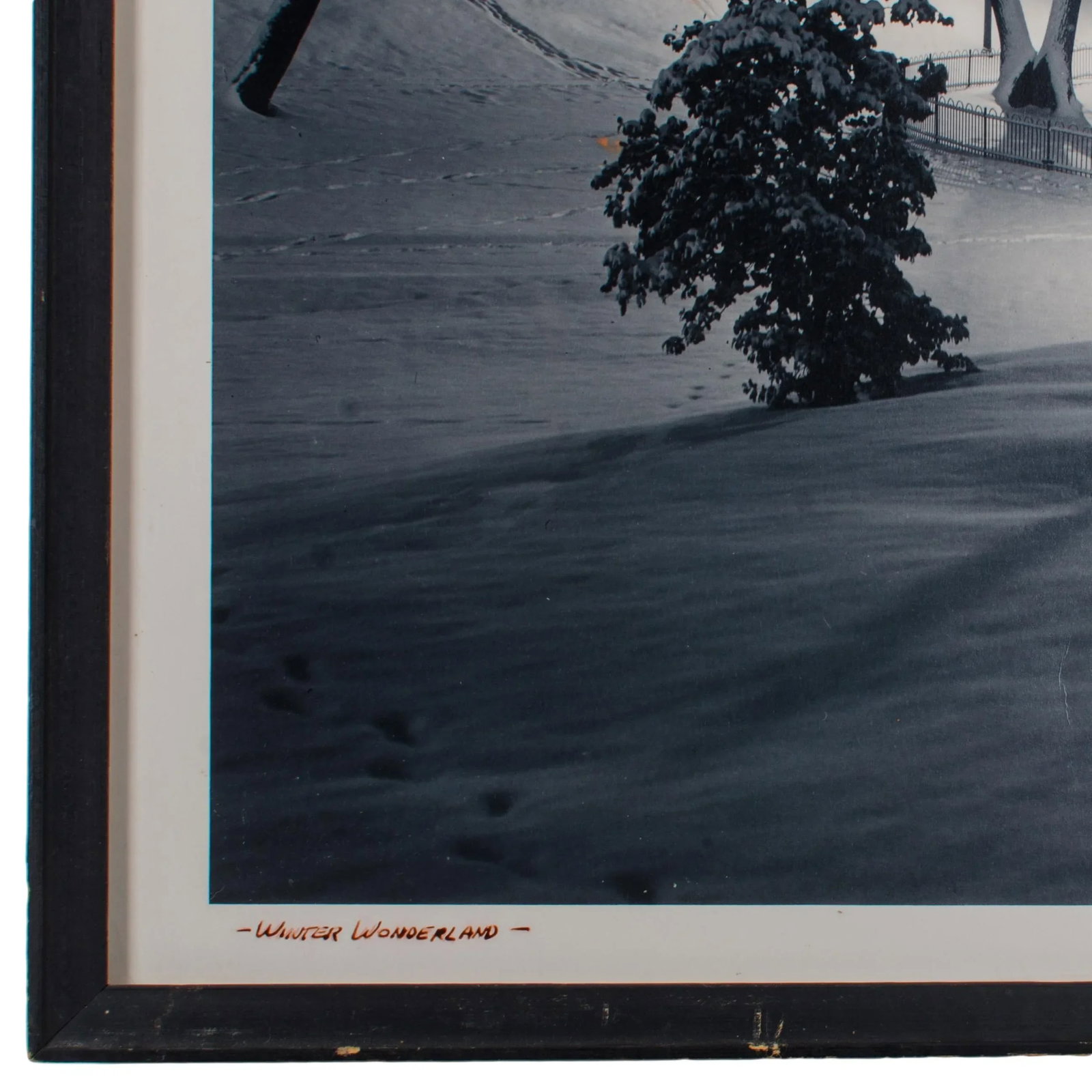 Winter Wonderland, Baltimore Photograph by Richard Stacks - 4