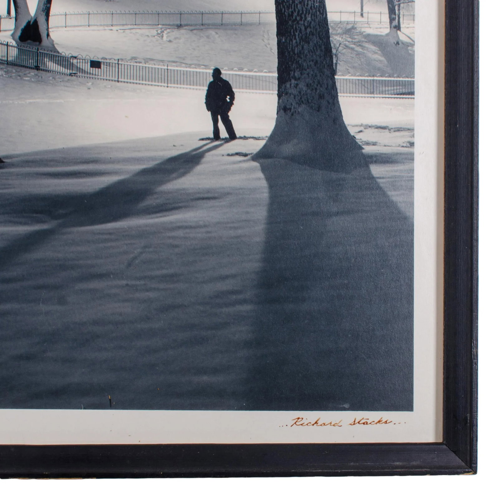 Winter Wonderland, Baltimore Photograph by Richard Stacks - 5