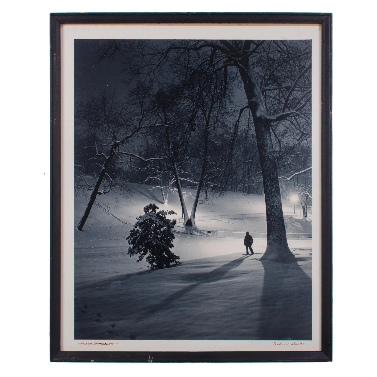 Winter Wonderland, Baltimore Photograph by Richard Stacks - 6