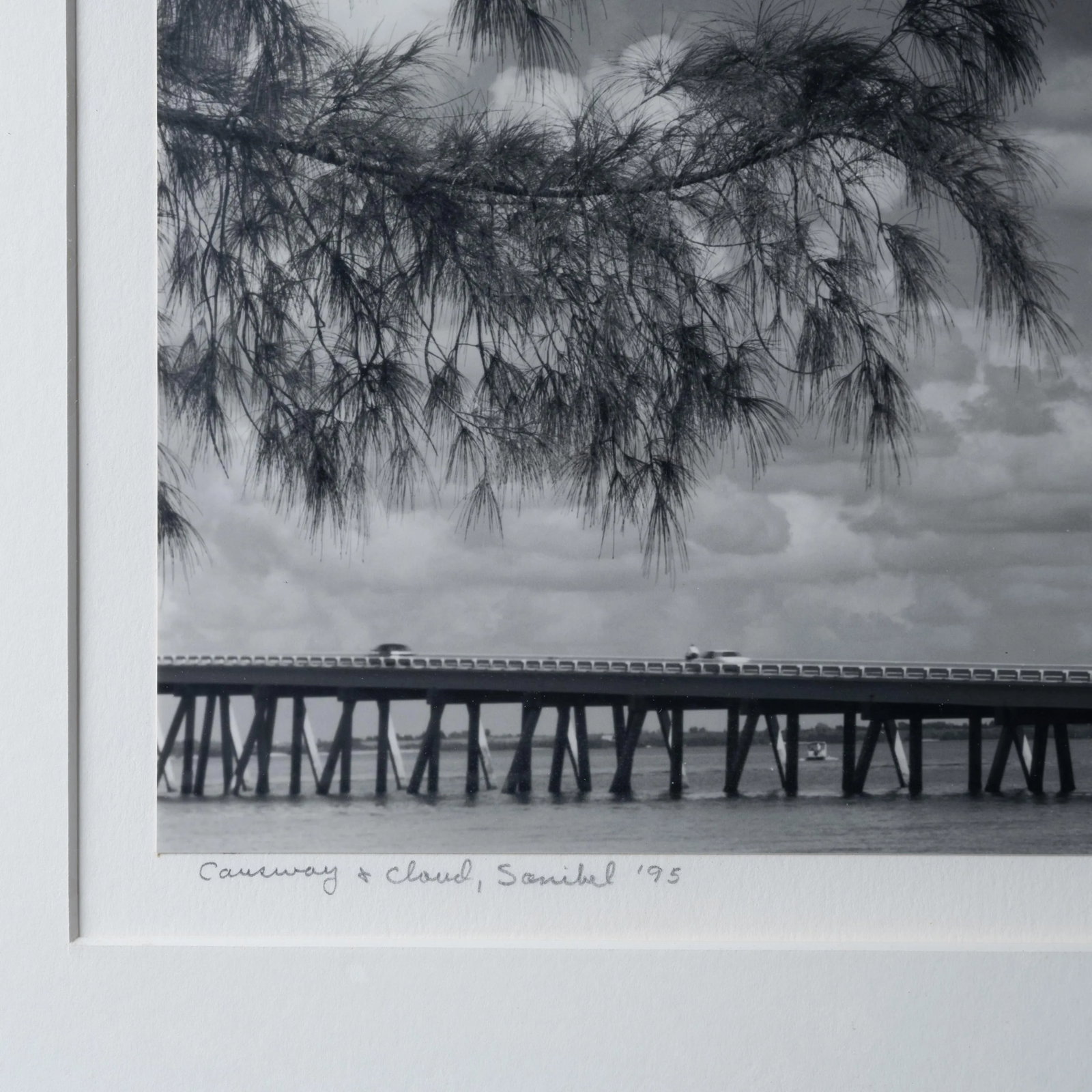 William L. Thomas Sanibel Island Silver Gelatin Photograph - 5