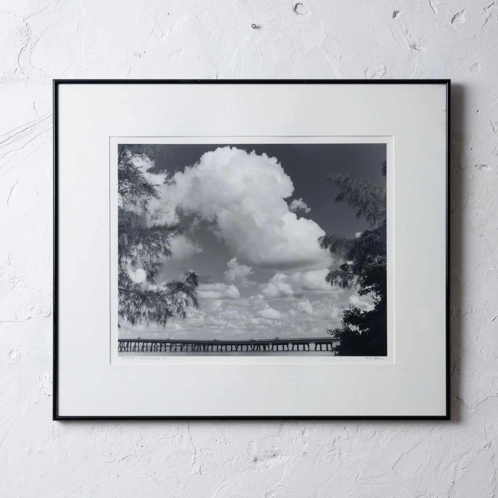 William L. Thomas Sanibel Island Silver Gelatin Photograph - 7
