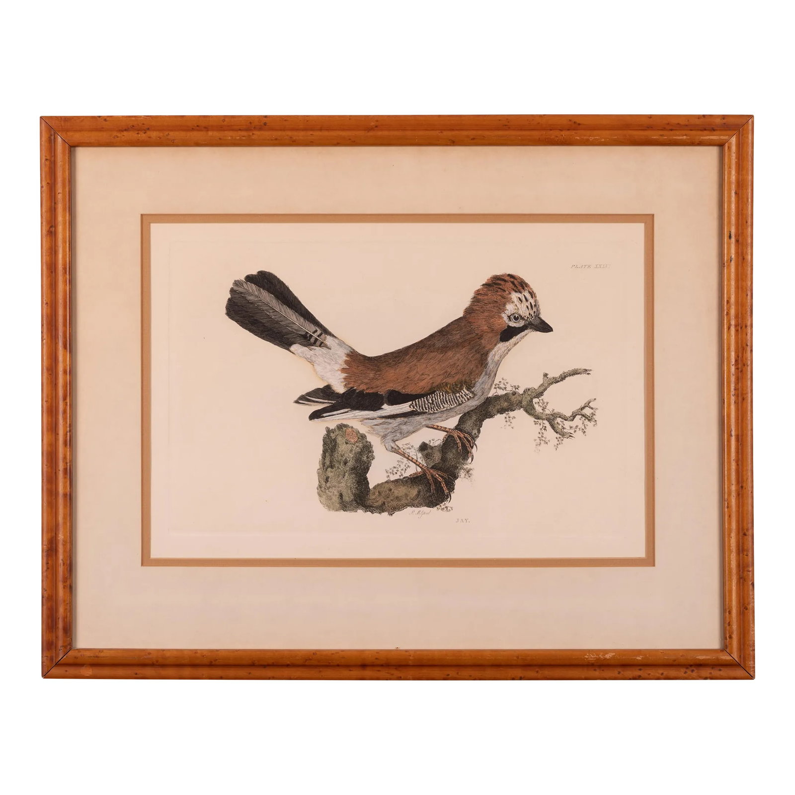 Selby Jay Engraving